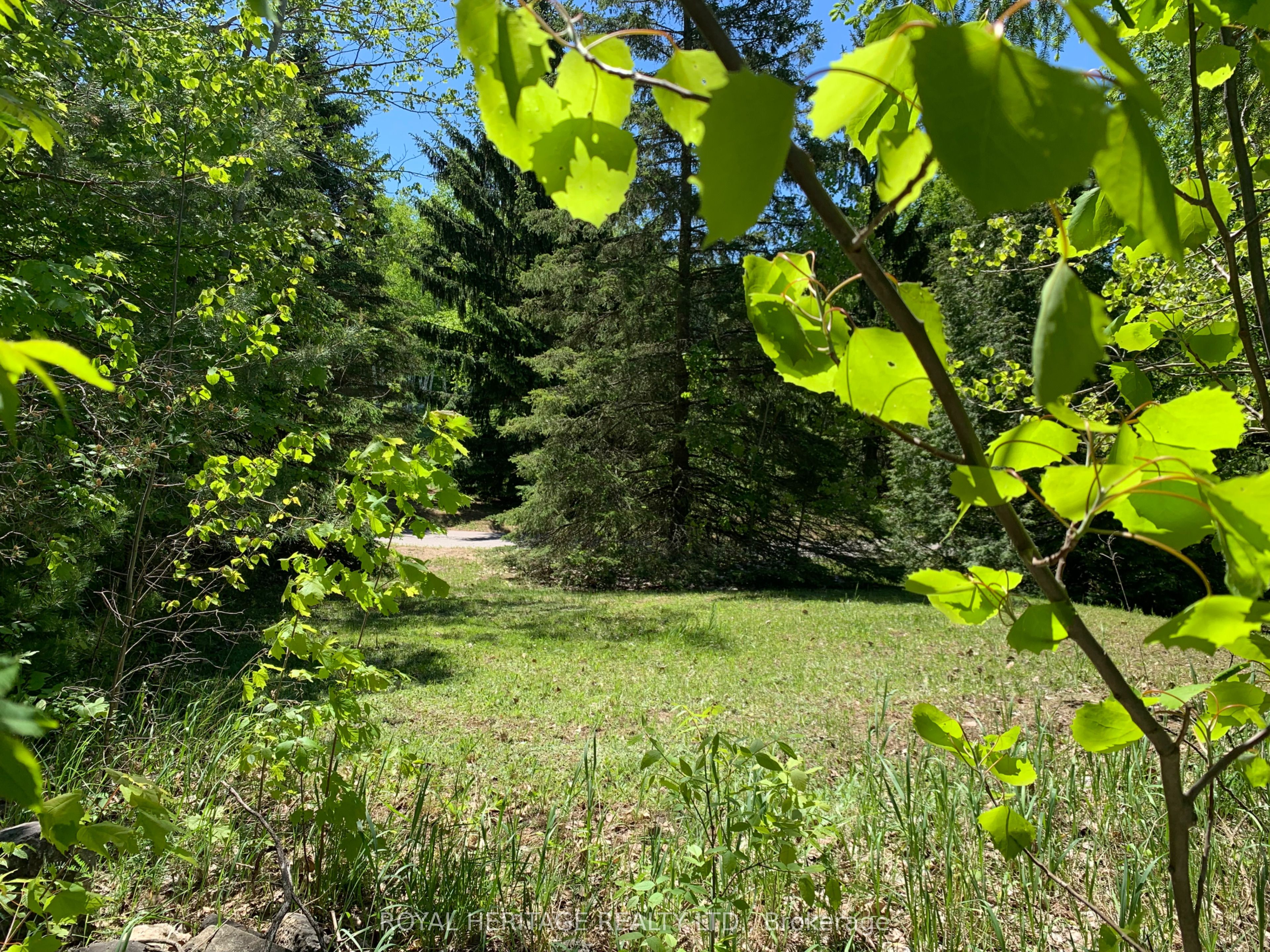 6677 Concession 2 Road Property Photo 39