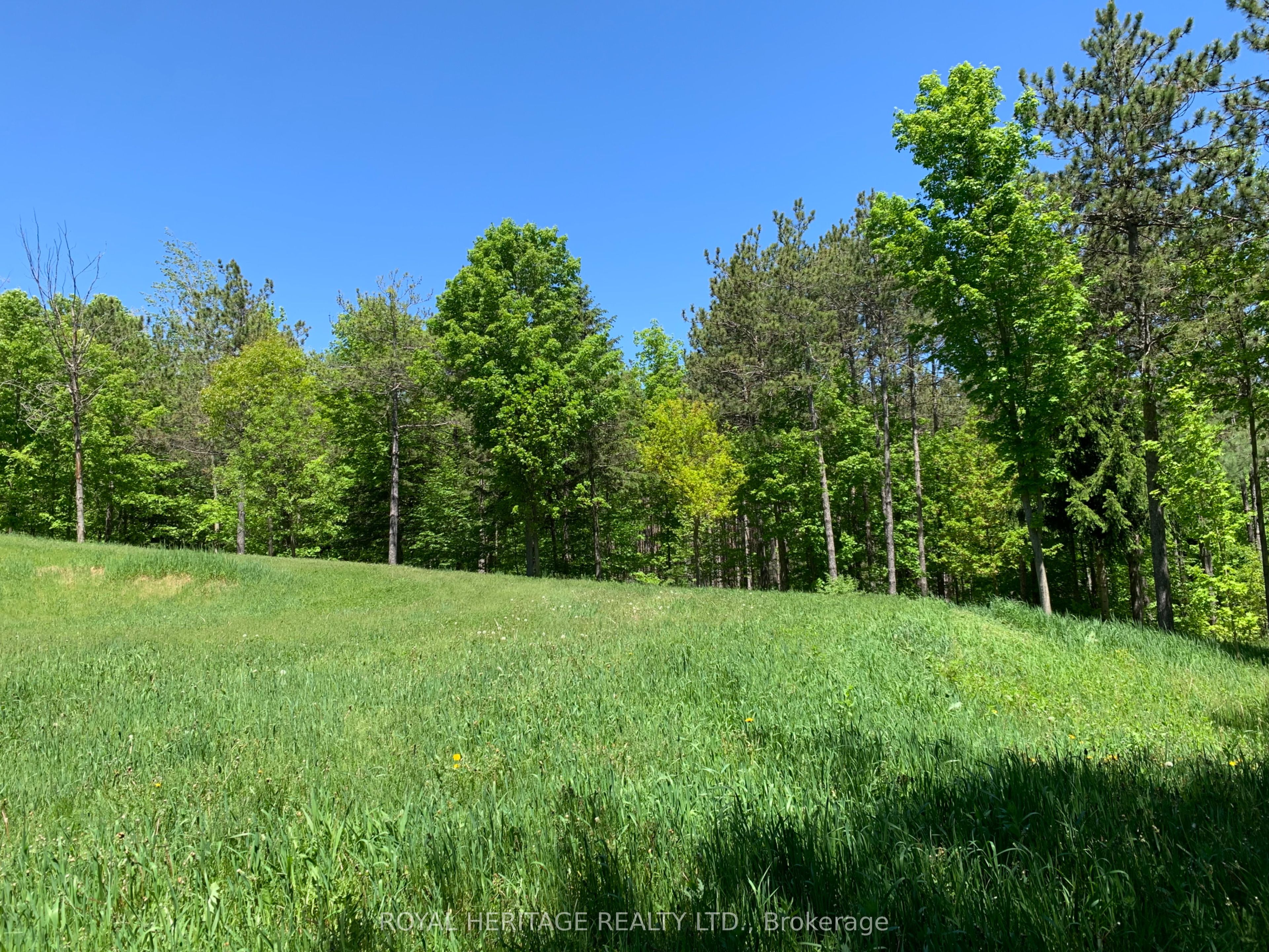 6677 Concession 2 Road Property Photo 41