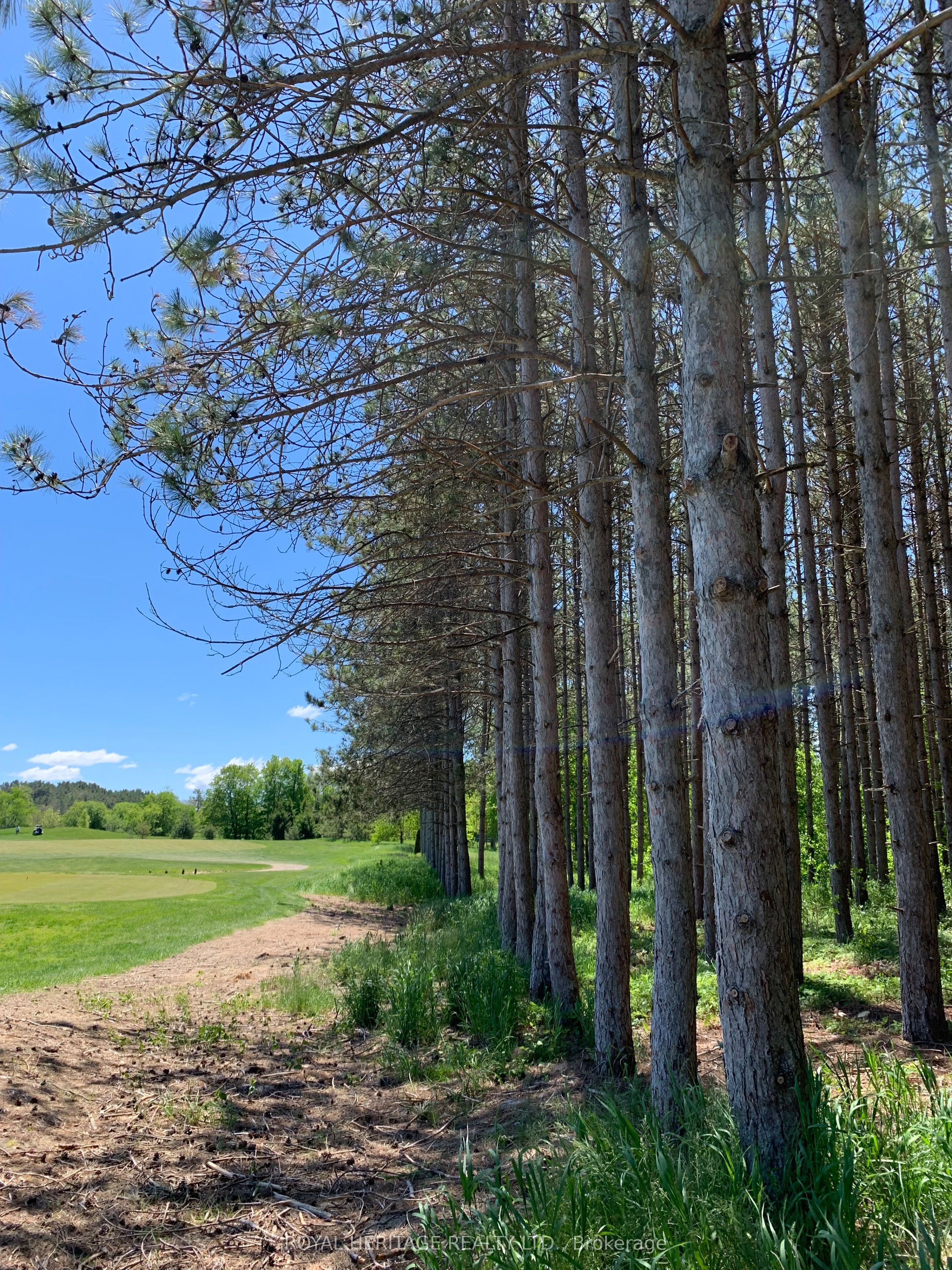 6677 Concession 2 Road Property Photo 43