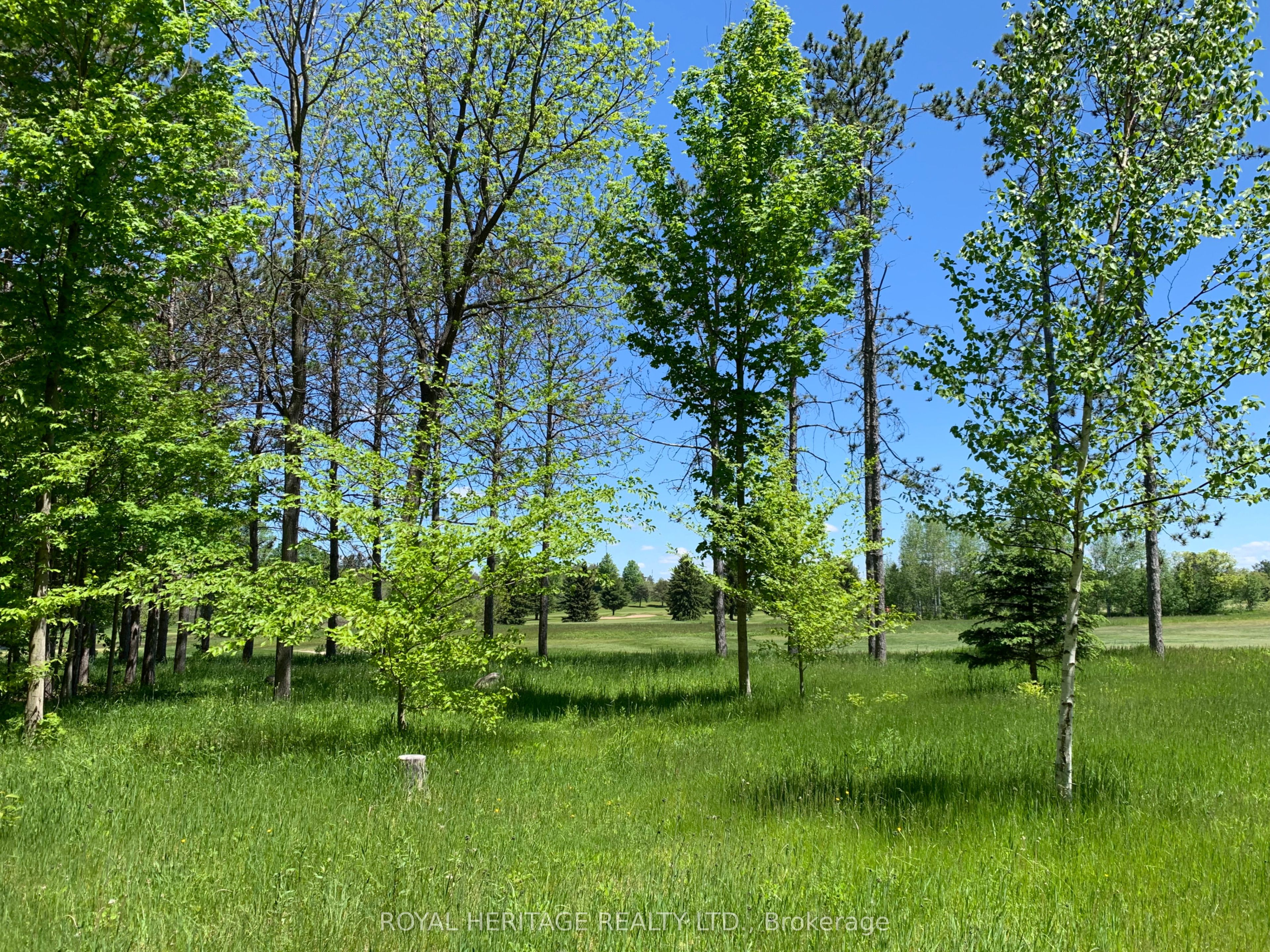 6677 Concession 2 Road Property Photo 44