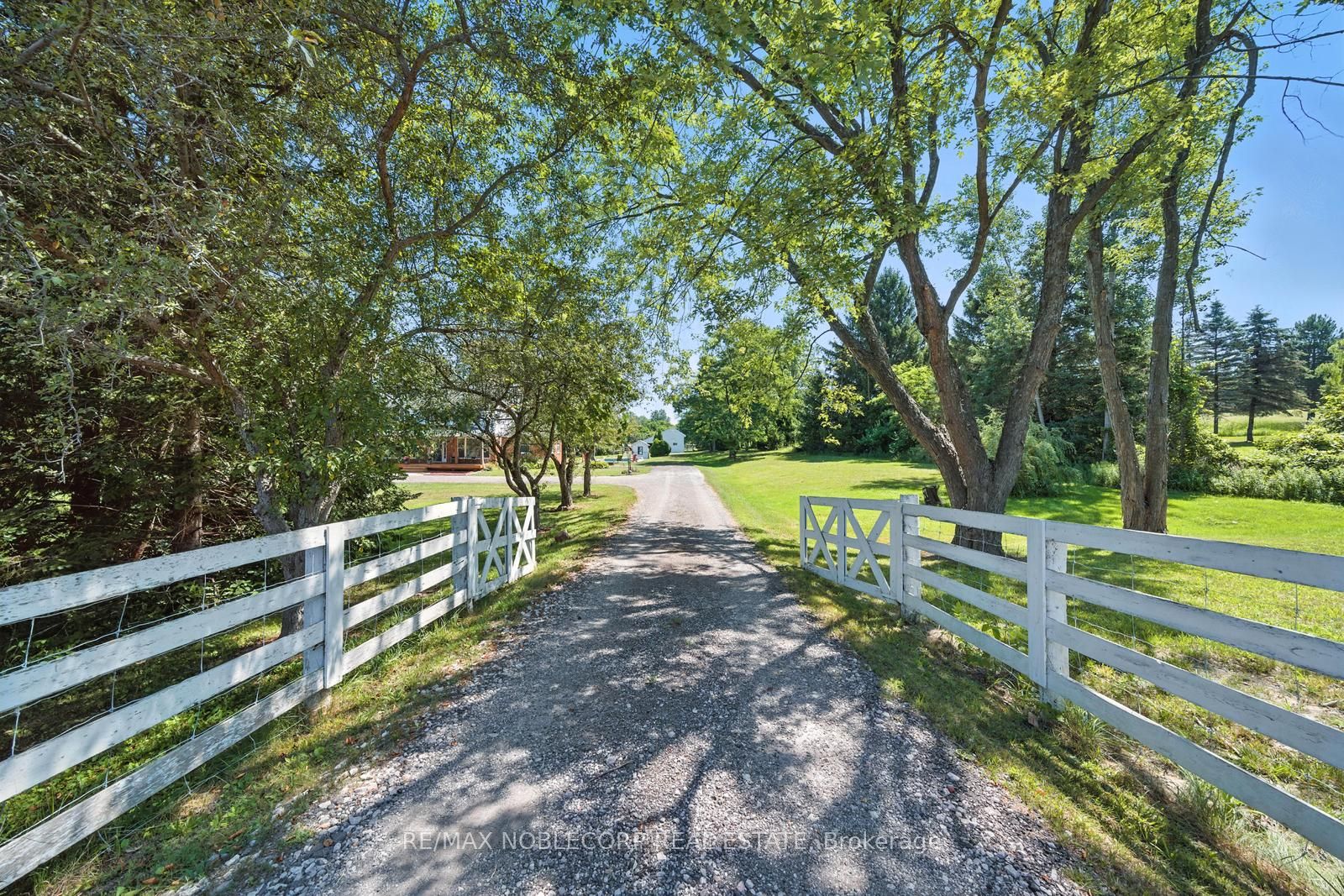 2037 15th Side Road Property Photo 6