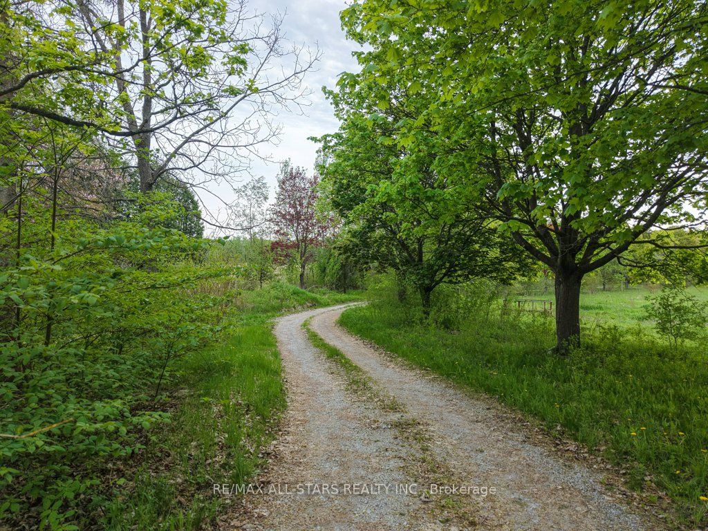 1269 Concession 3 Road Property Photo 34