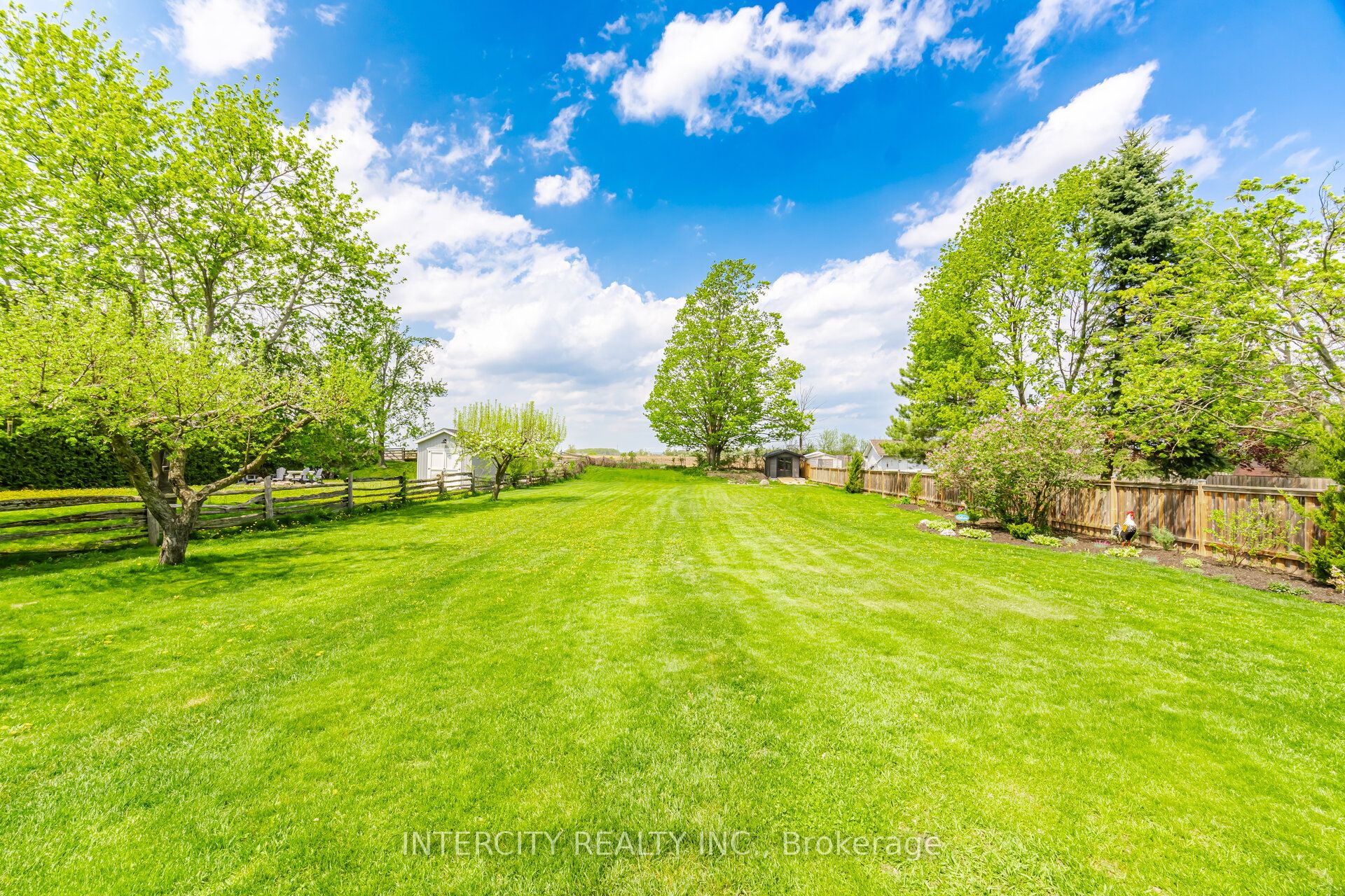2262 Webb Street Property Photo 45