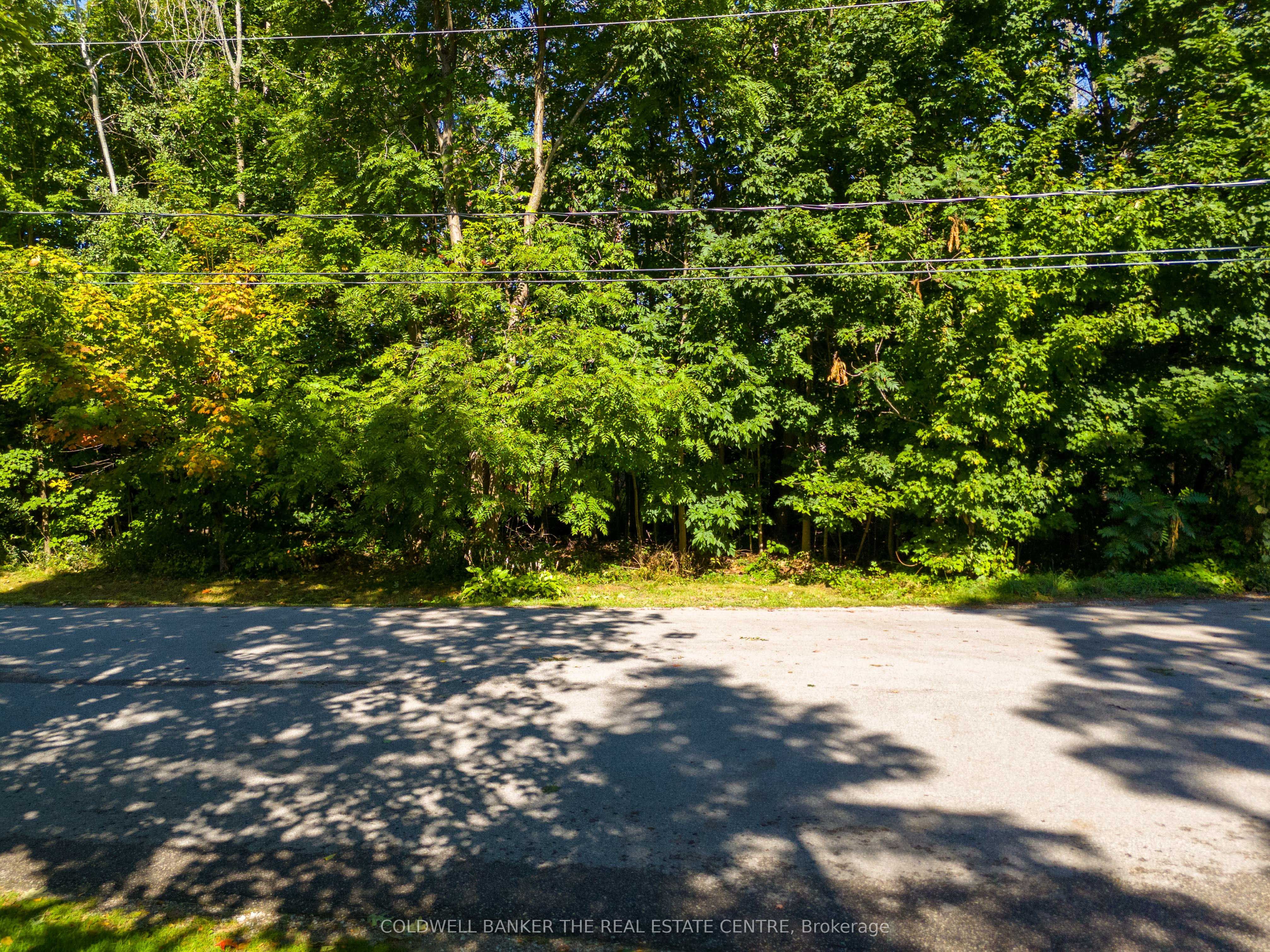 Lot 30 & Part Lot 29 Purvis Street Property Photo 20
