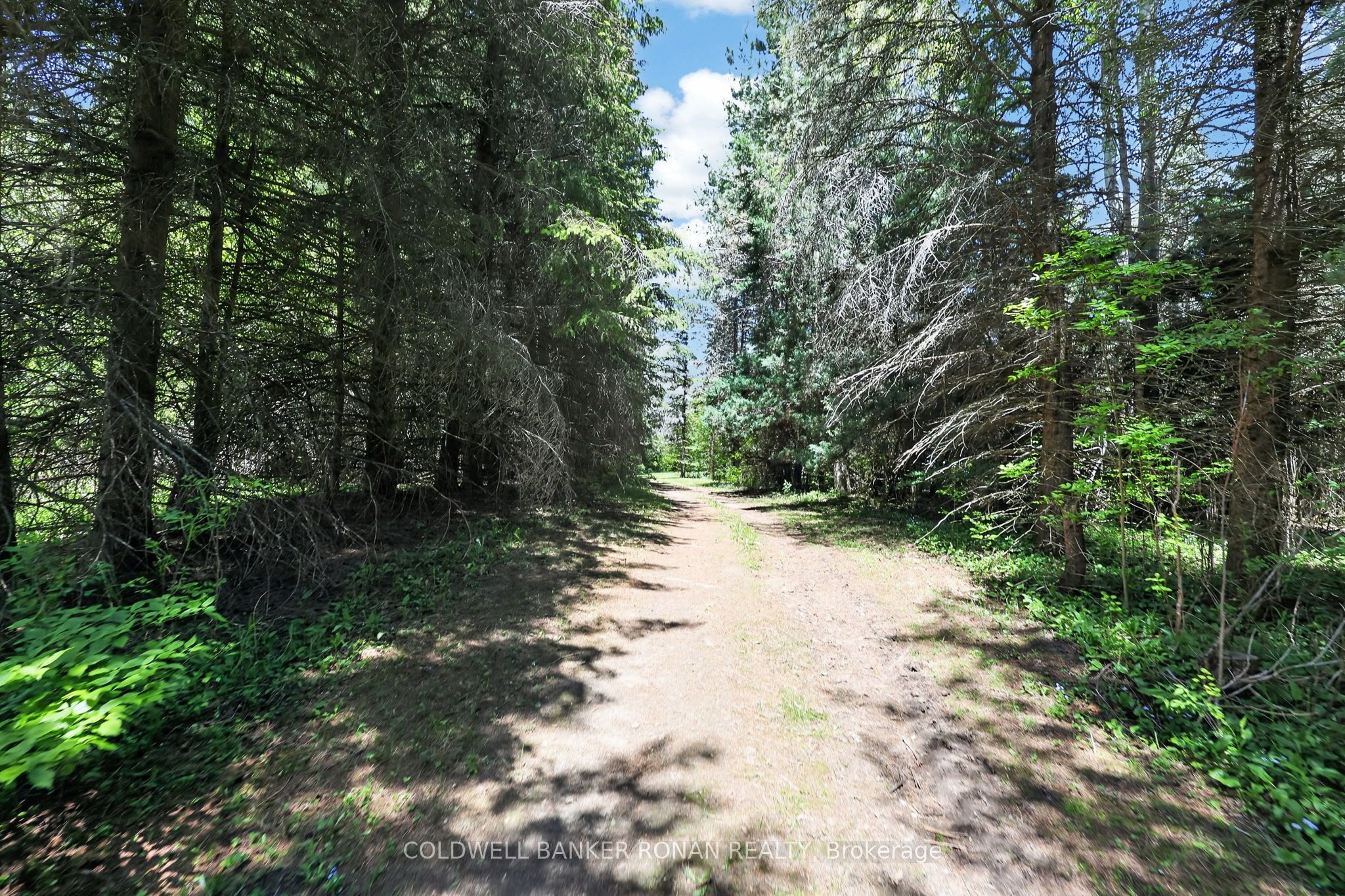 5565 5th Line Property Photo 45