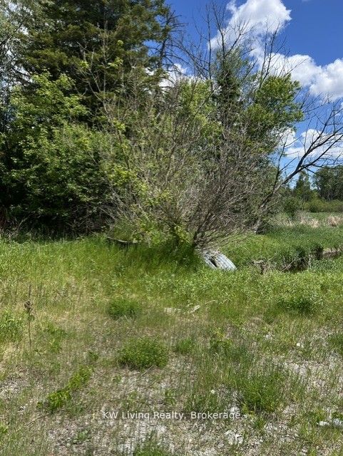 20273 Highway 48 E Property Photo 2