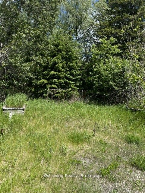20273 Highway 48 E Property Photo 3