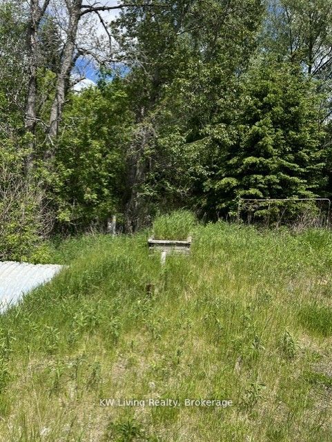 20273 Highway 48 E Property Photo 4
