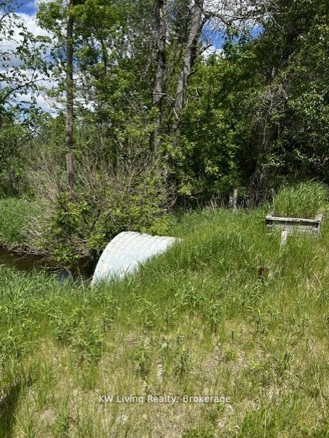 20273 Highway 48 E Property Photo 5