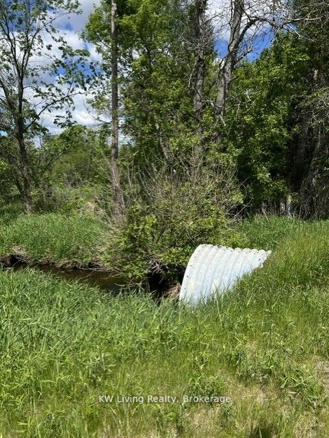 20273 Highway 48 E Property Photo 6