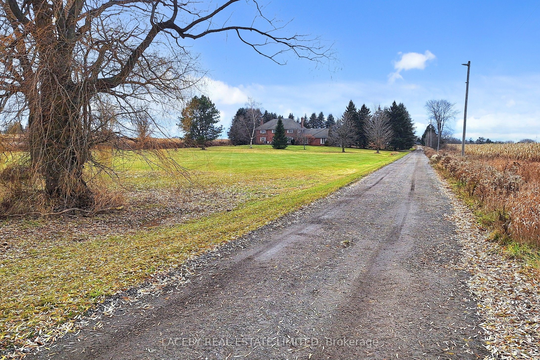 19654 Mccowan Road Property Photo 5