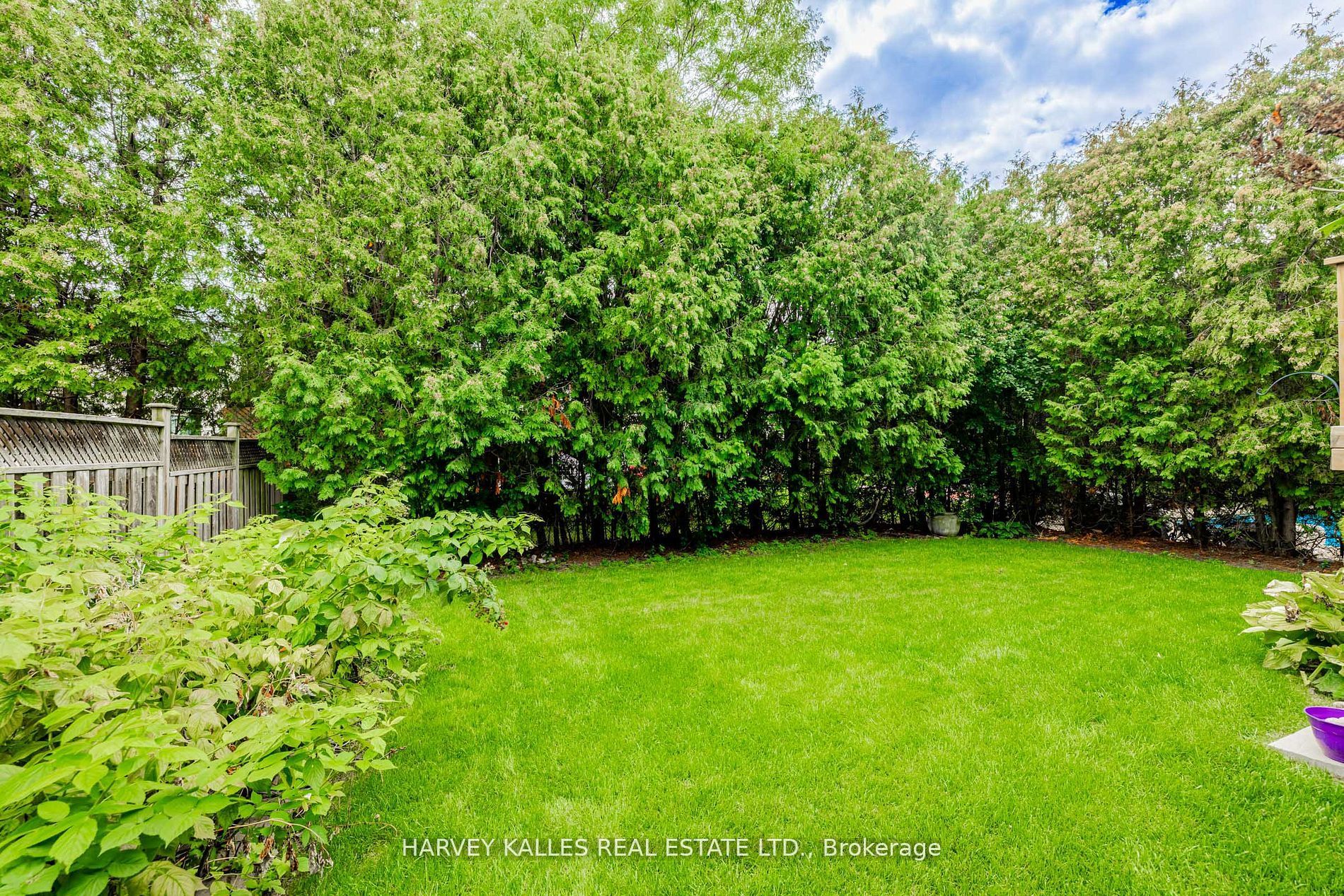 145 Rodeo Drive Property Photo 48