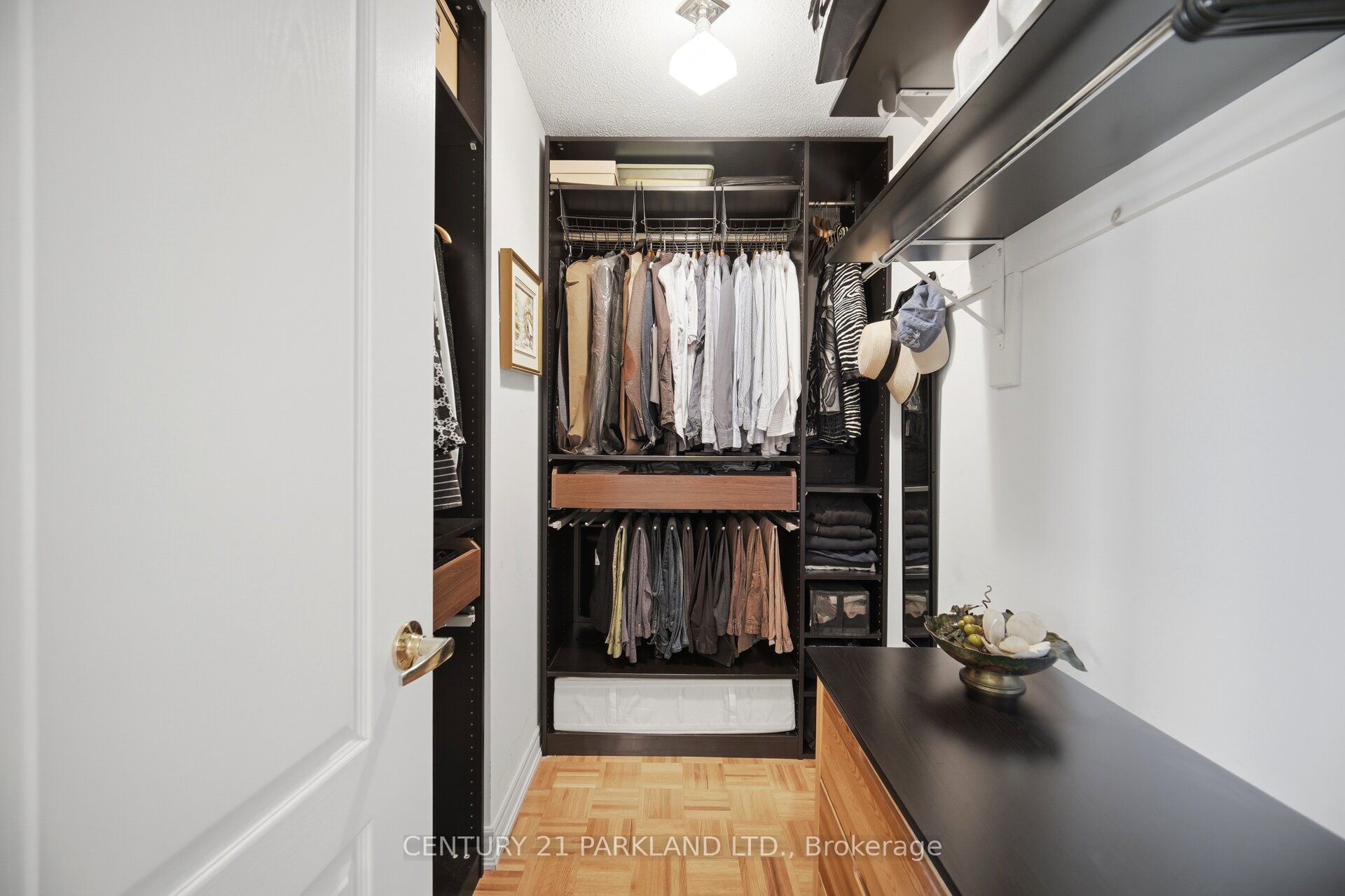 148 Vellore Avenue Property Photo 25