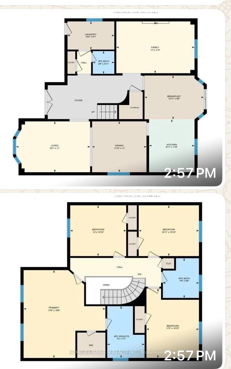 137 Widdifield Avenue Property Photo 48