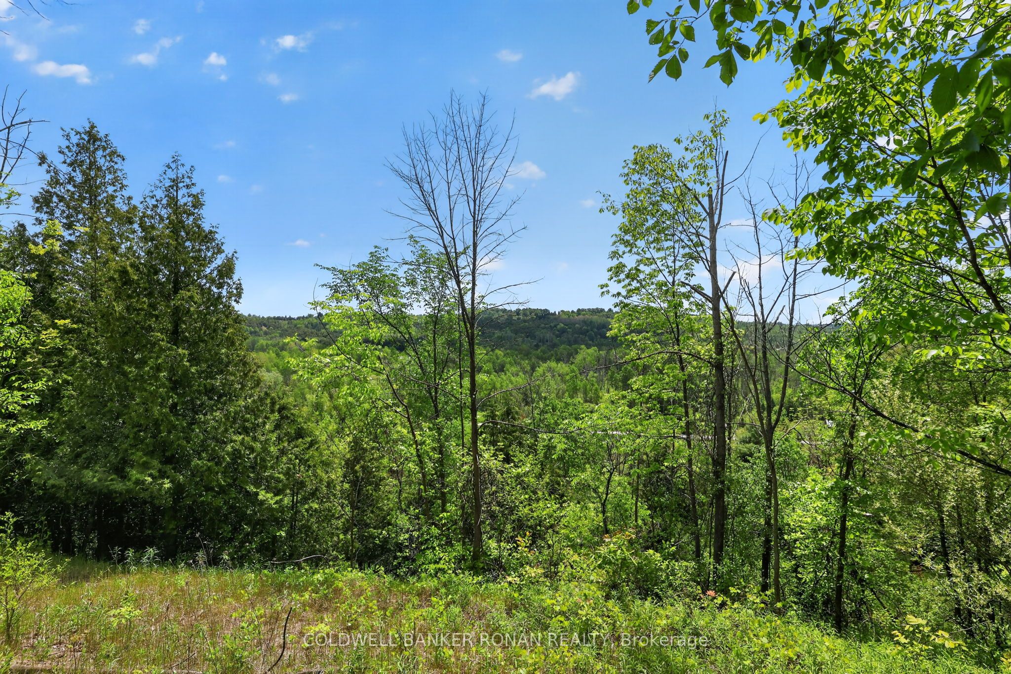 2946 Concession Rd 3 Property Photo 5