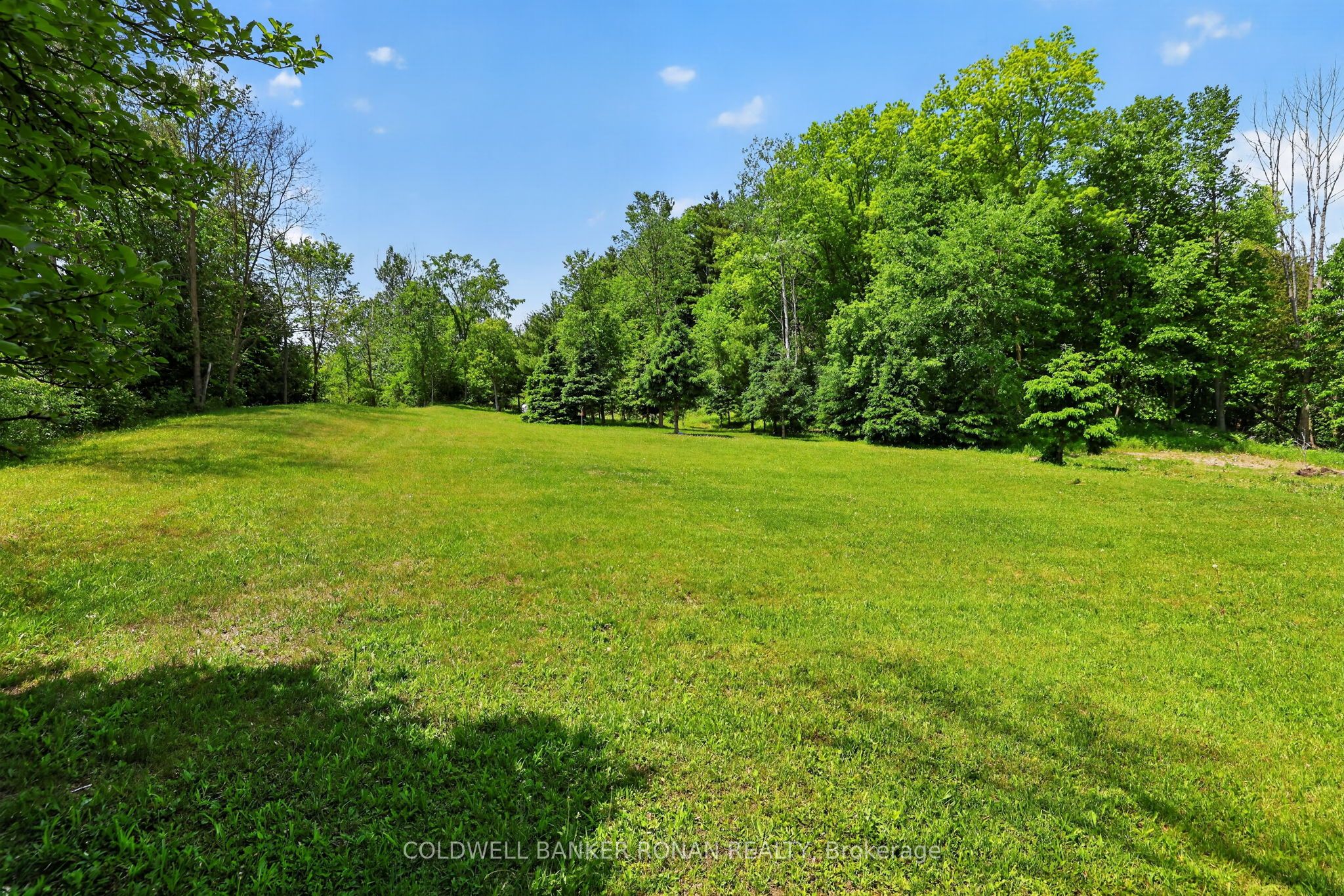 2946 Concession Rd 3 Property Photo 35