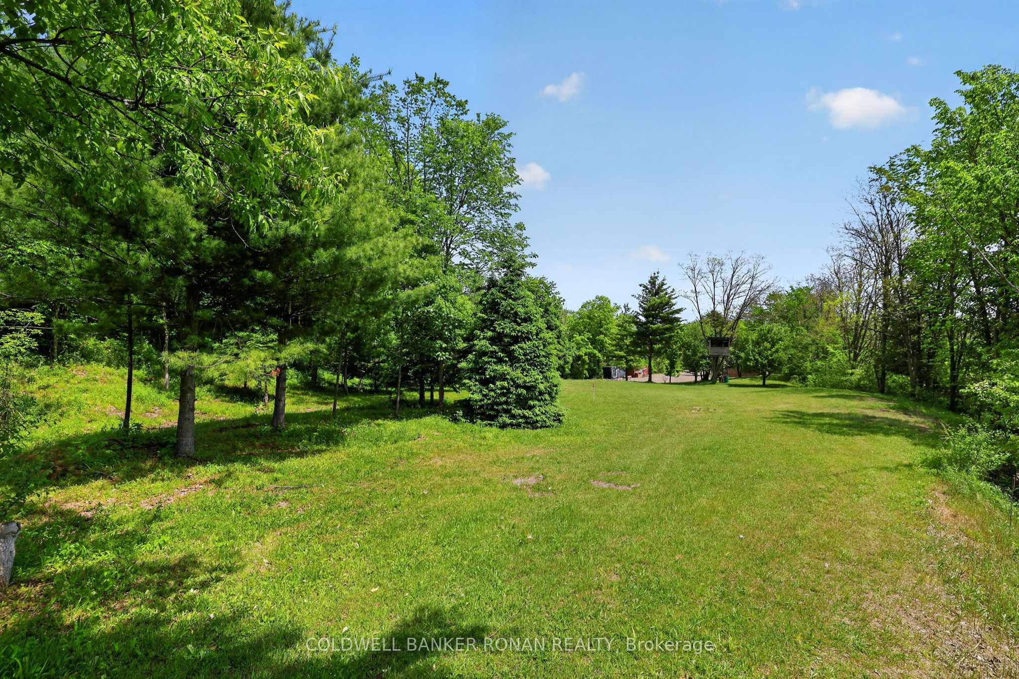 2946 Concession Rd 3 Property Photo 36