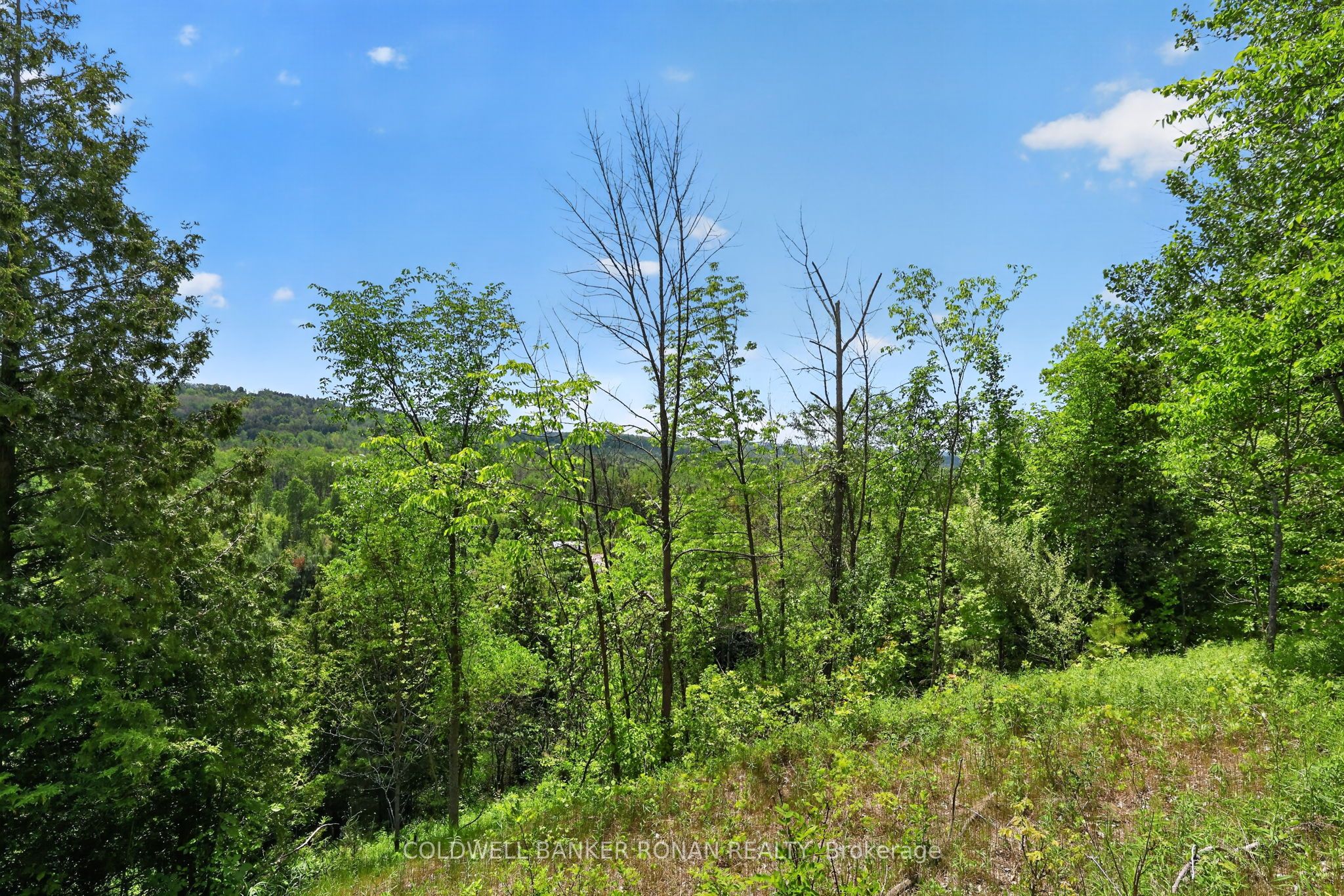 2946 Concession Rd 3 Property Photo 37