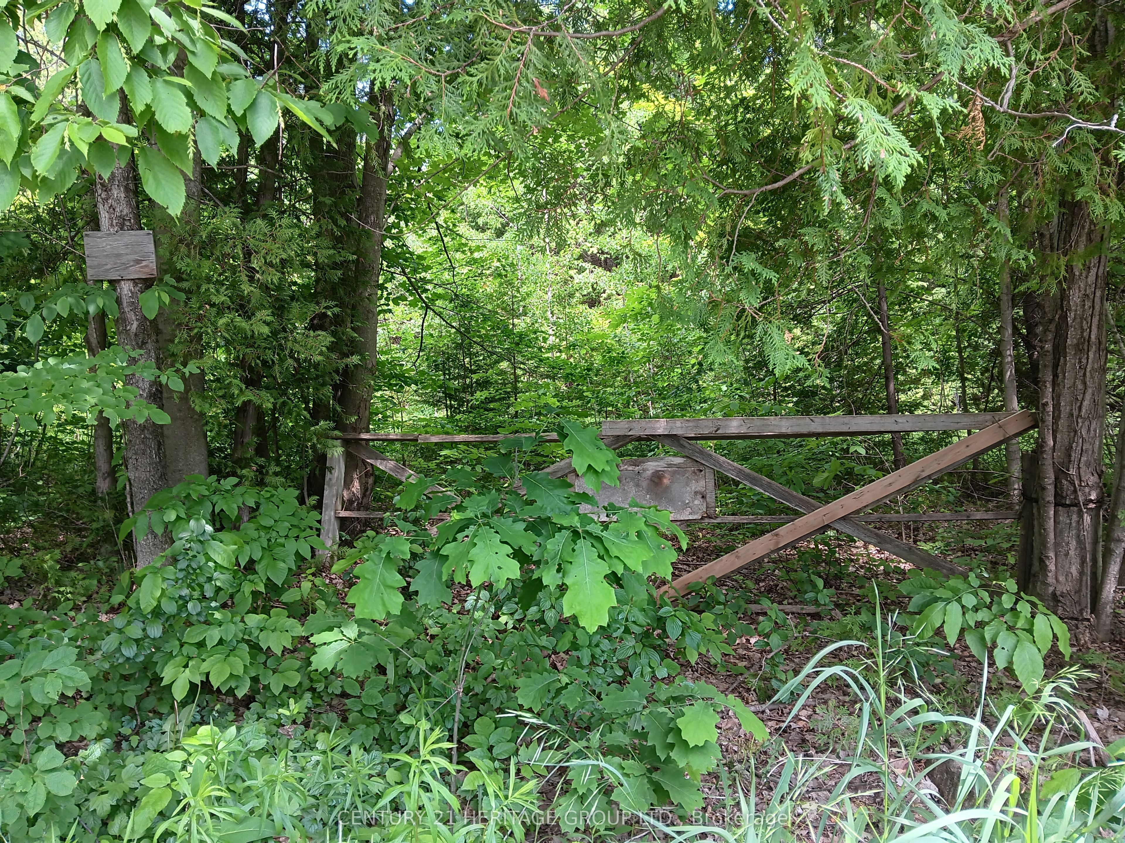 7 Line Property Photo 2