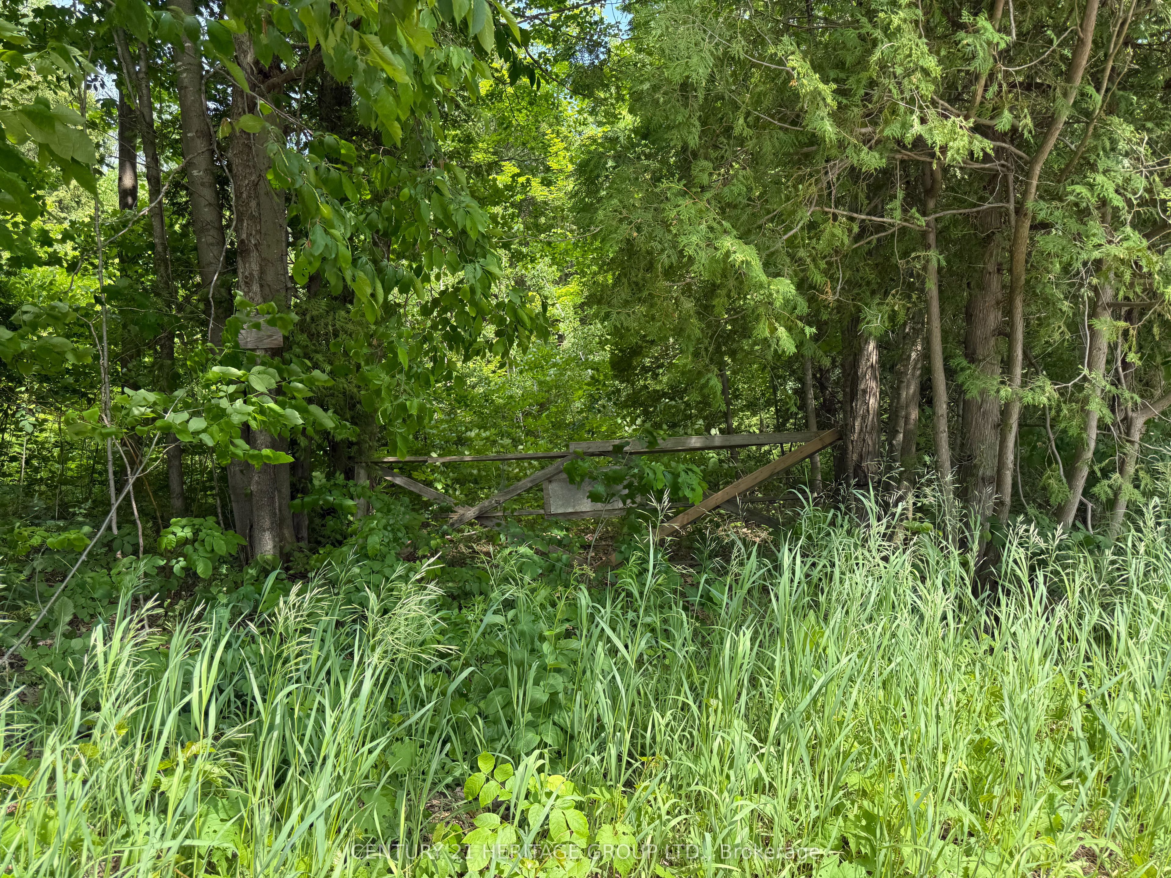 7 Line Property Photo 3