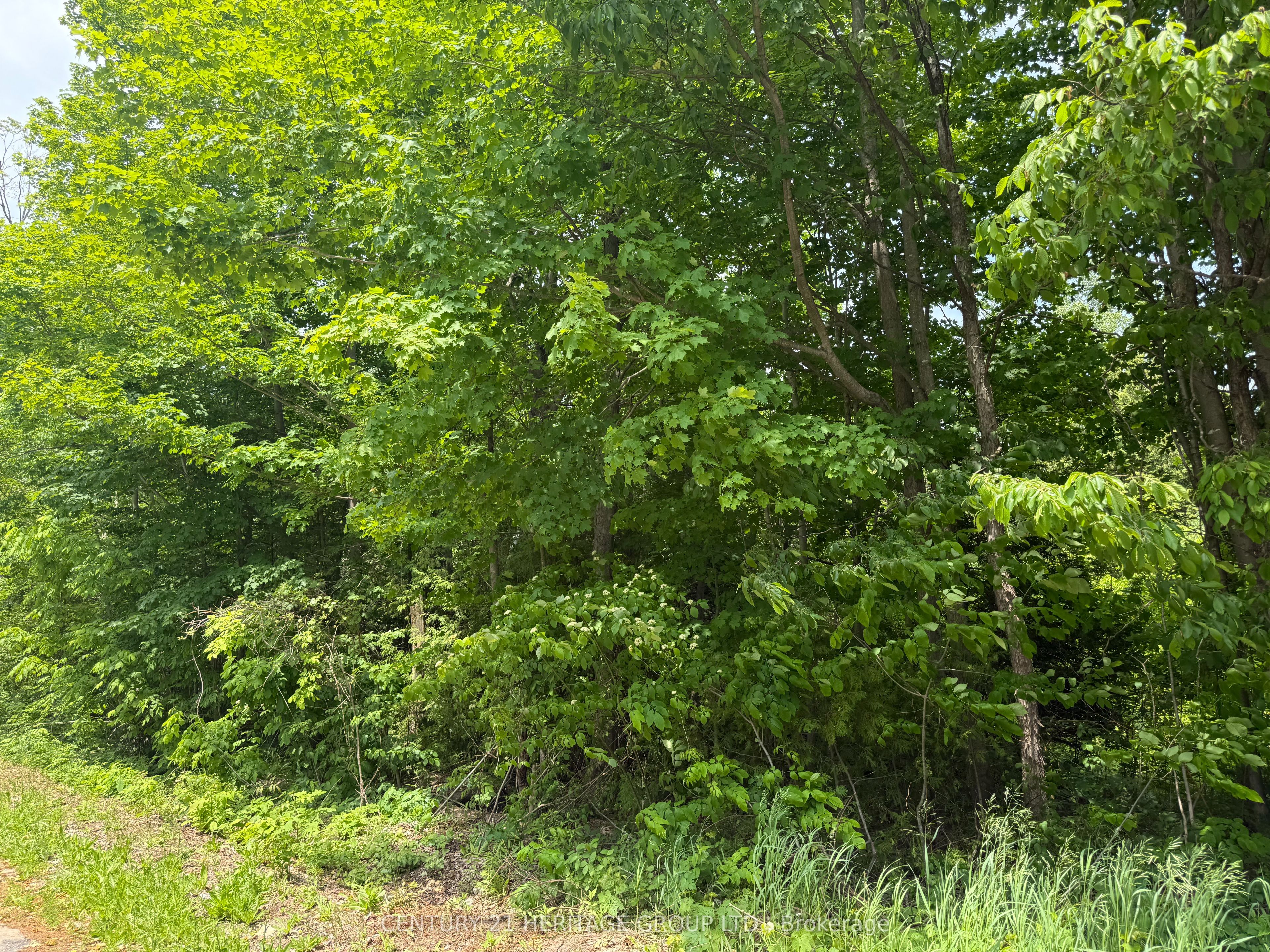7 Line Property Photo 4