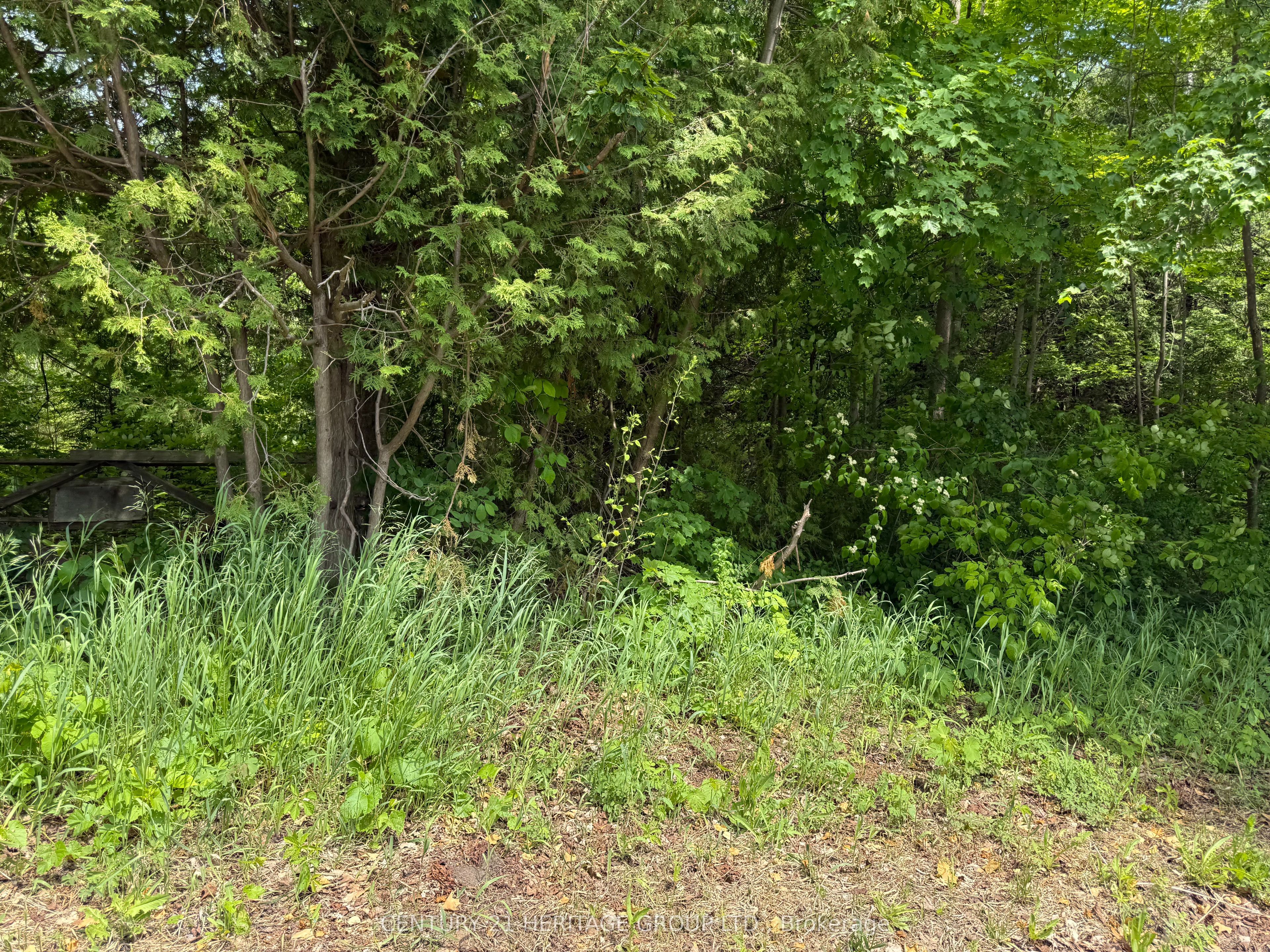 7 Line Property Photo 5