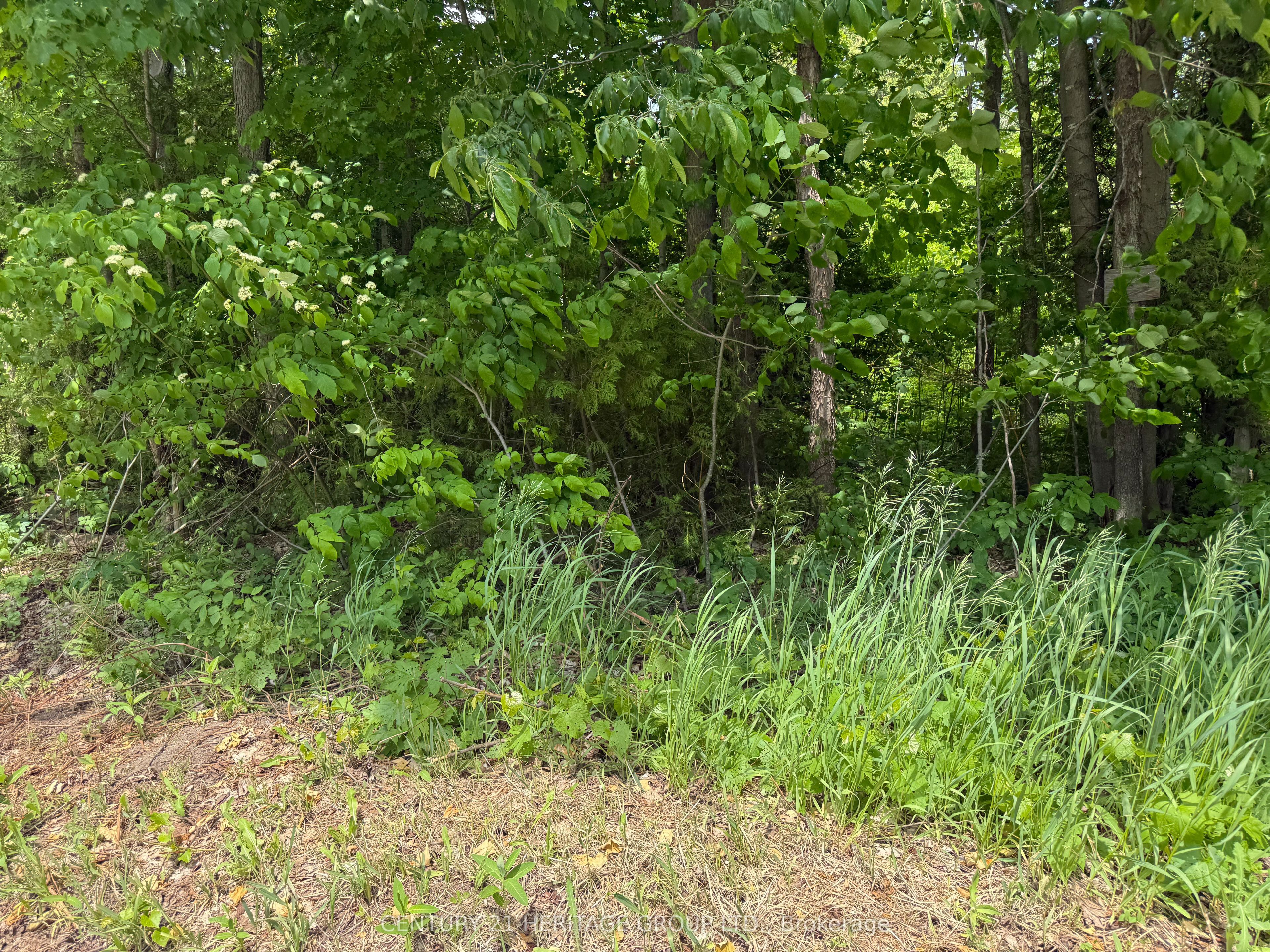 7 Line Property Photo 6