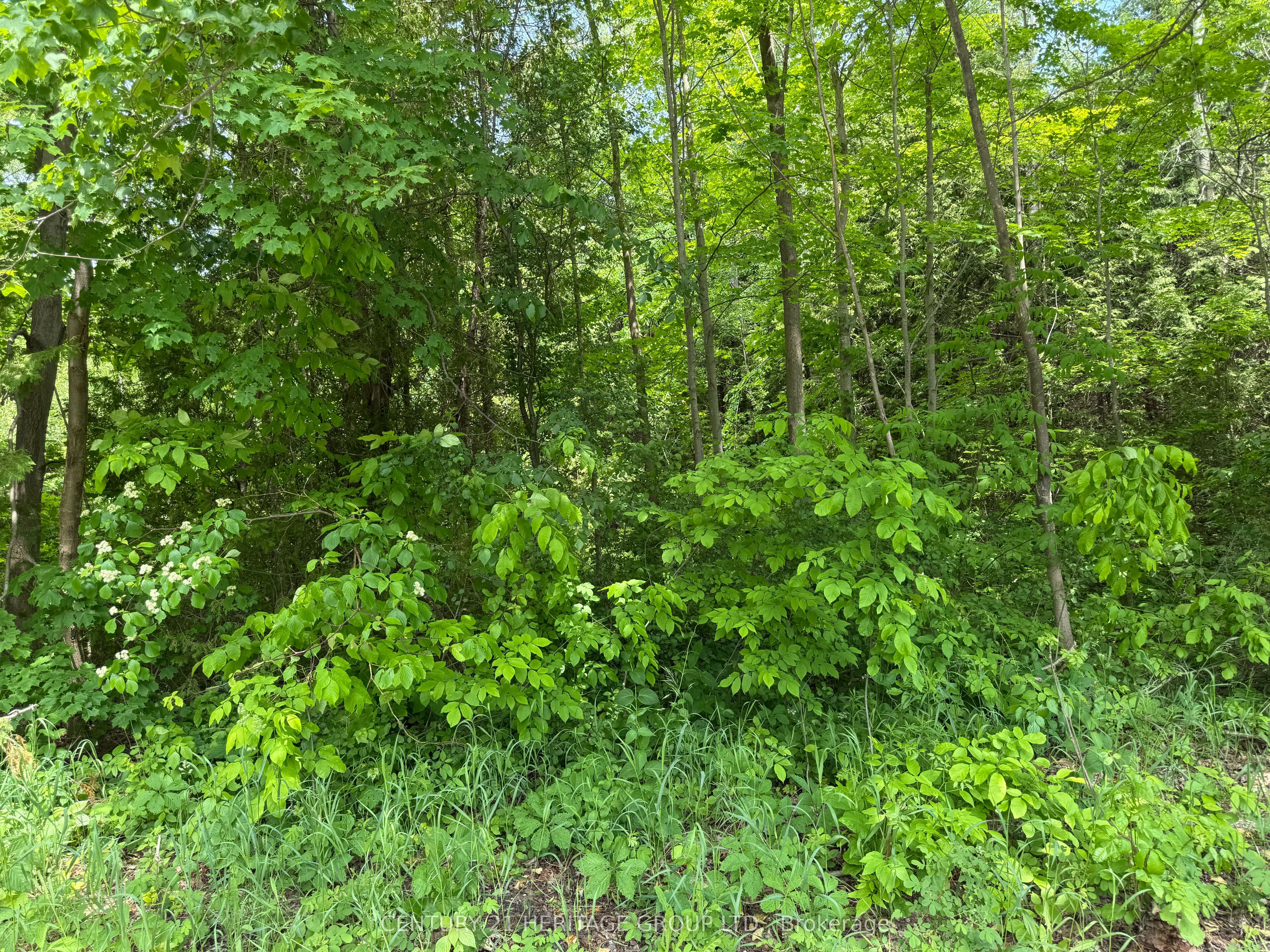7 Line Property Photo 7
