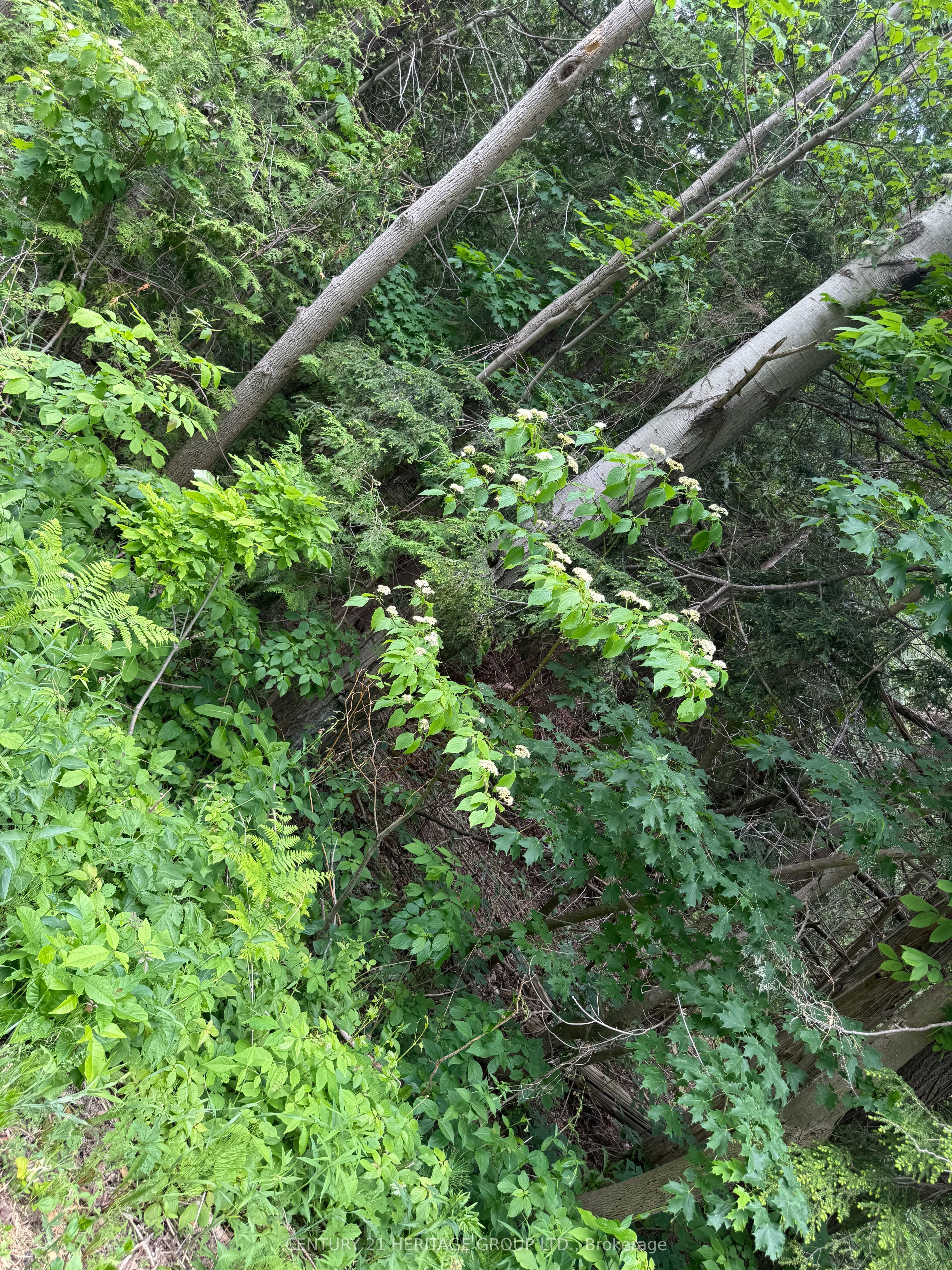 7 Line Property Photo 8