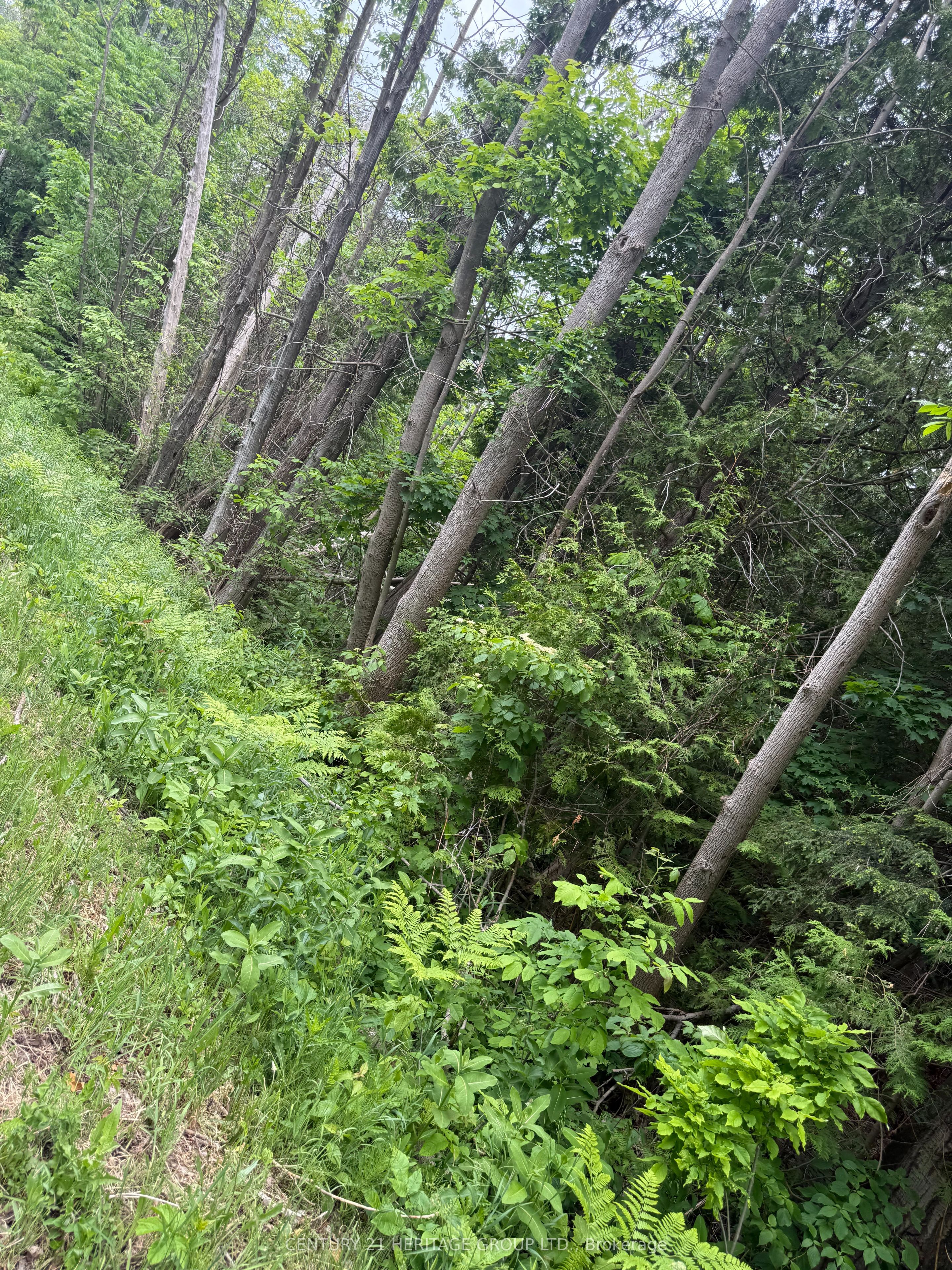 7 Line Property Photo 9
