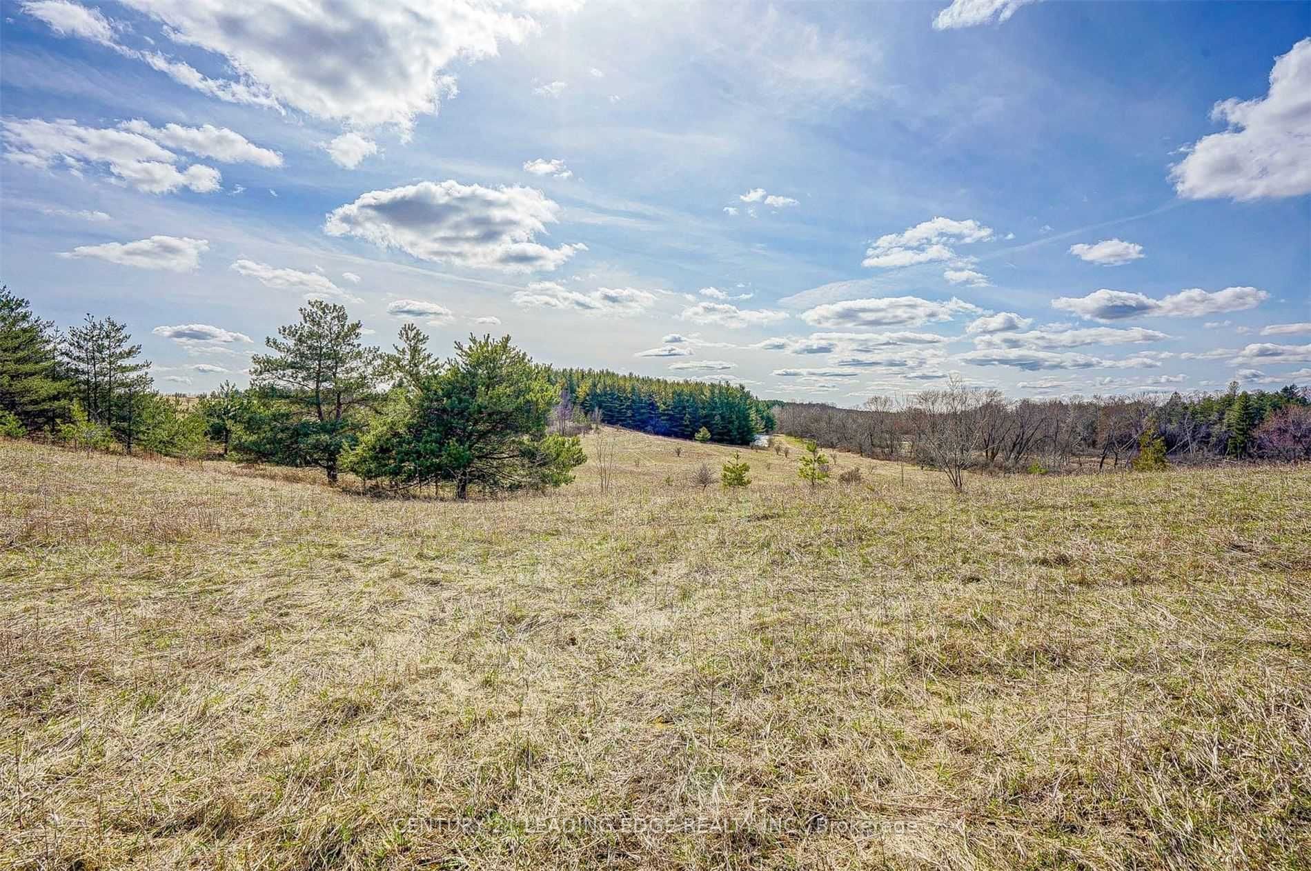 14466 Ninth Line Property Photo 9
