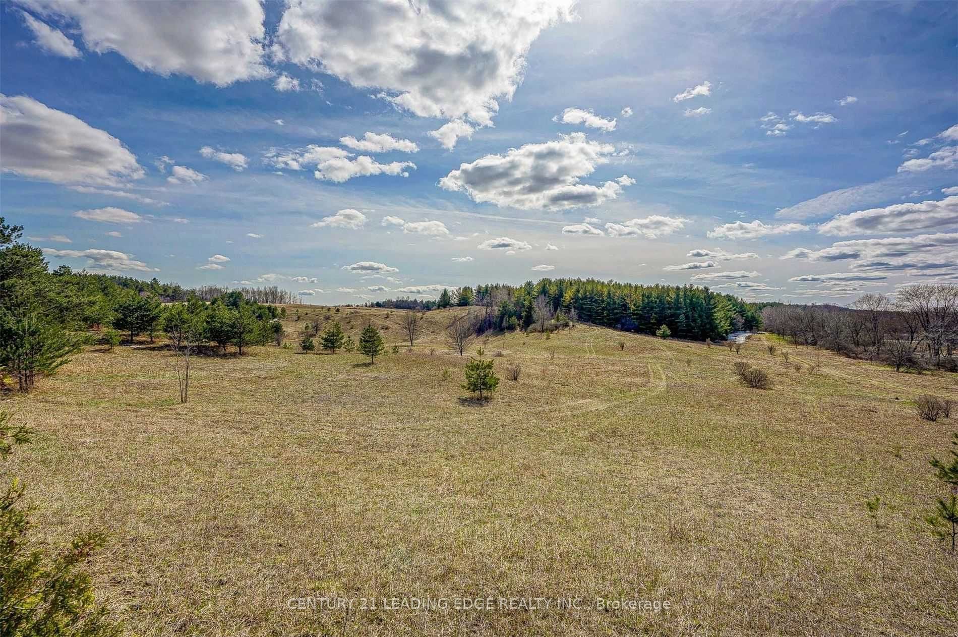 14466 Ninth Line Property Photo 13