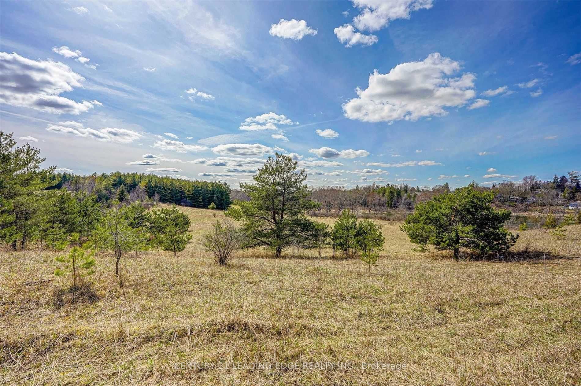14466 Ninth Line Property Photo 10