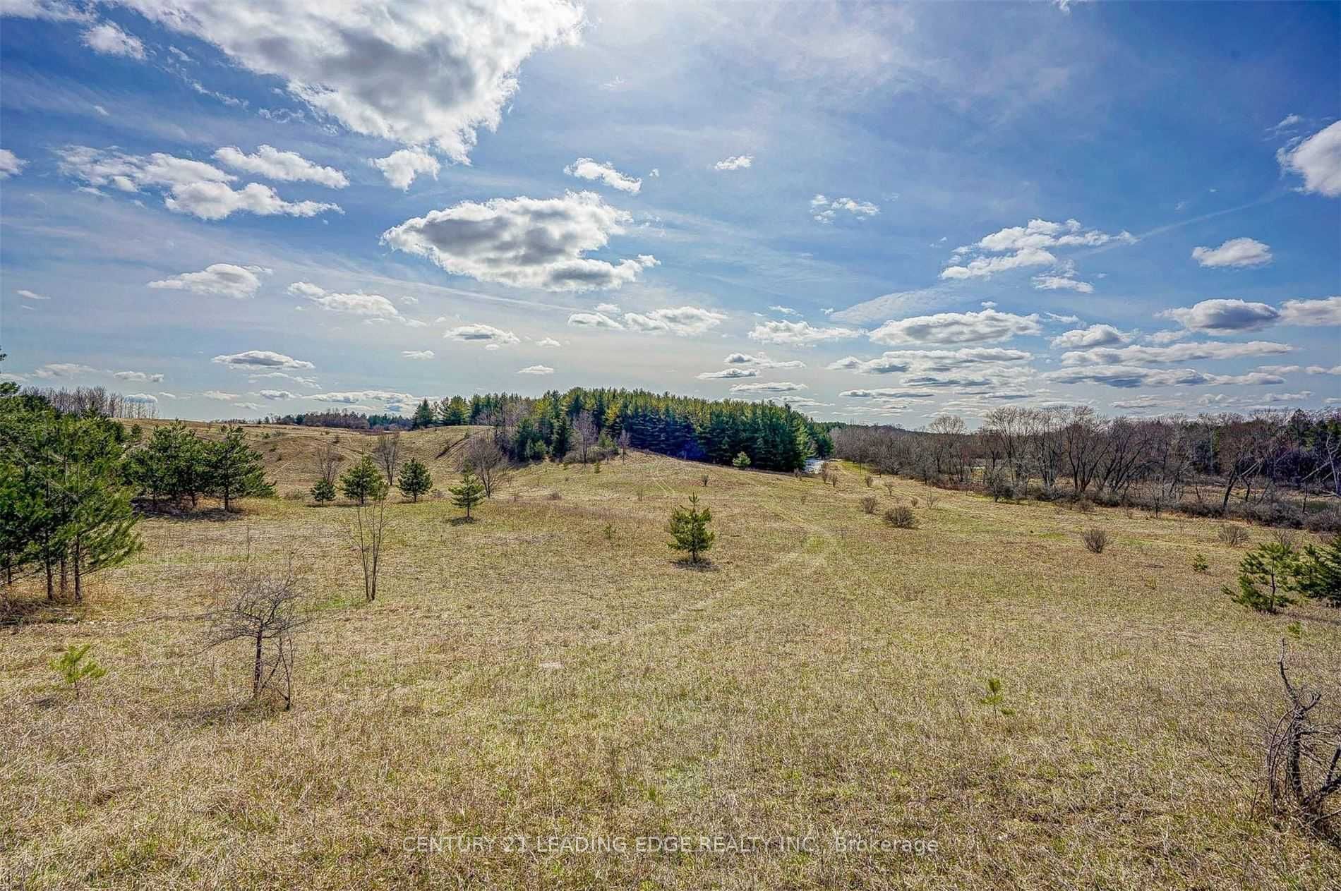 14466 Ninth Line Property Photo 11