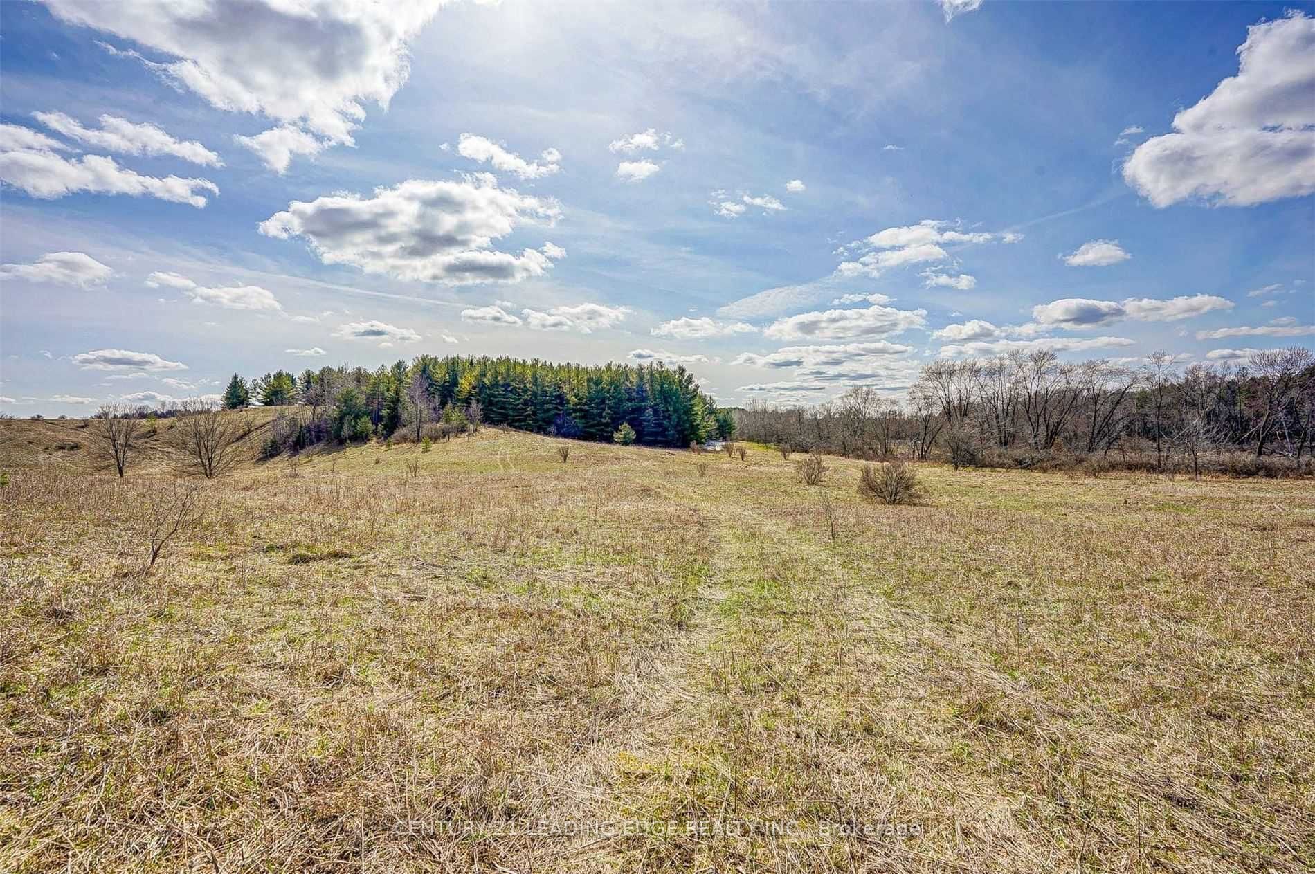 14466 Ninth Line Property Photo 14