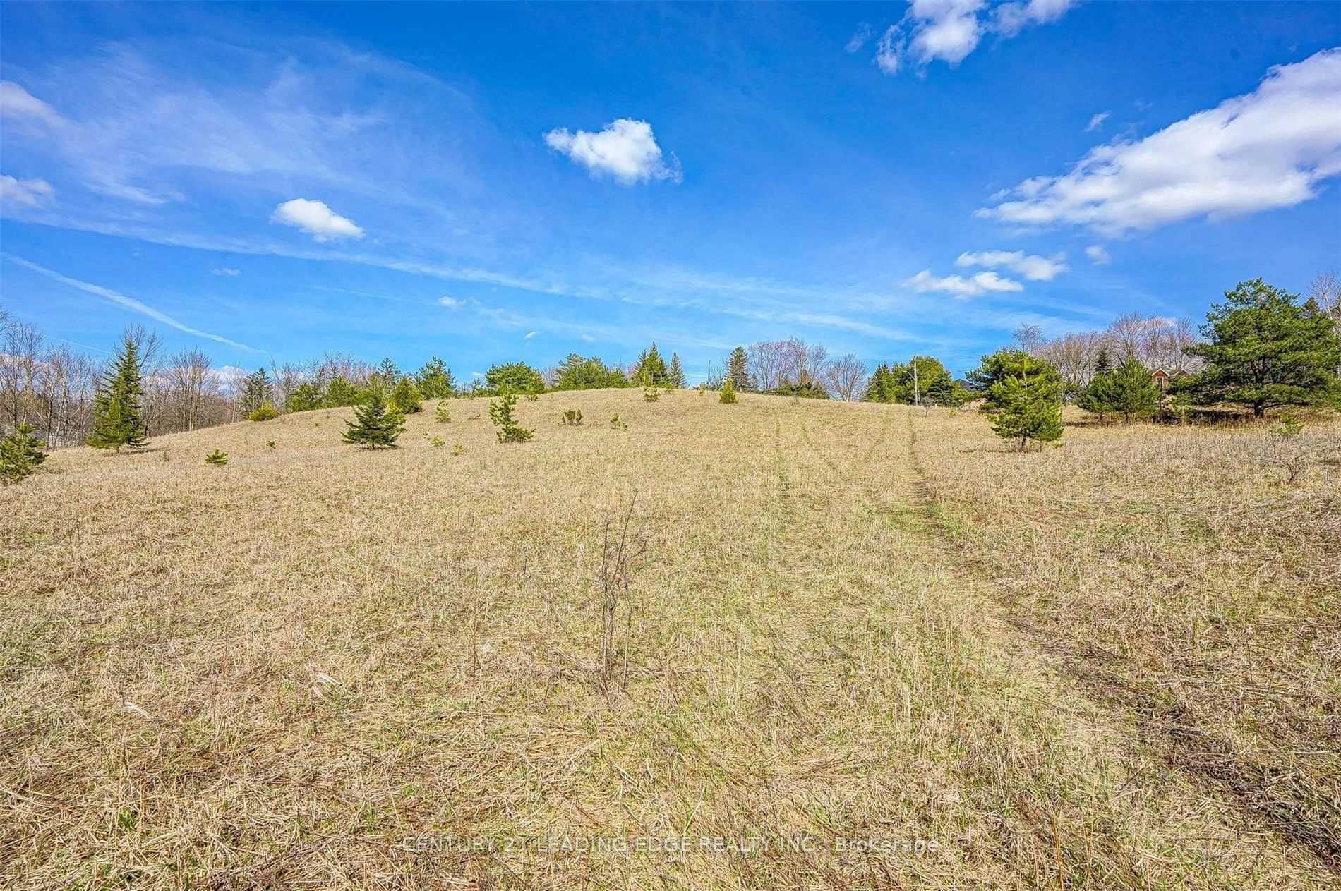 14466 Ninth Line Property Photo 15