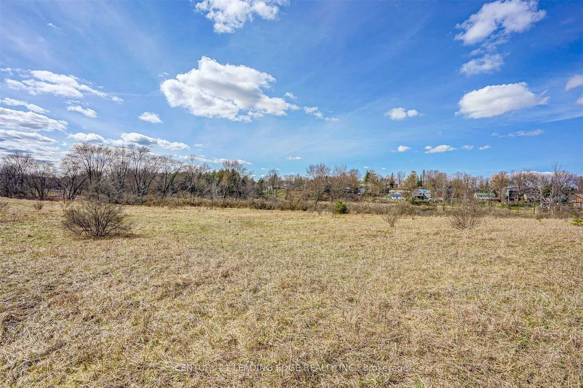 14466 Ninth Line Property Photo 16