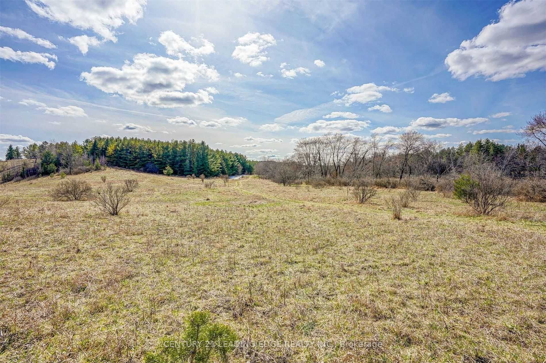 14466 Ninth Line Property Photo 18