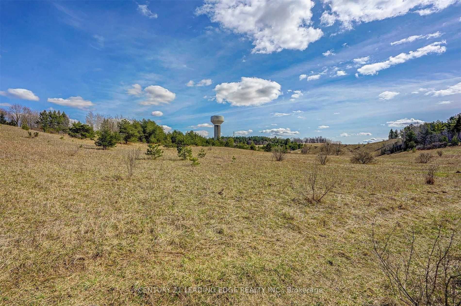 14466 Ninth Line Property Photo 19
