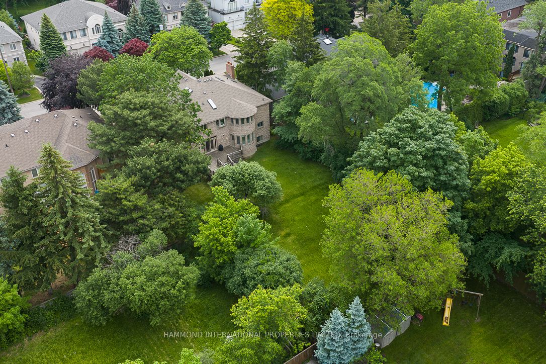46 Steeplechase Avenue Property Photo 48