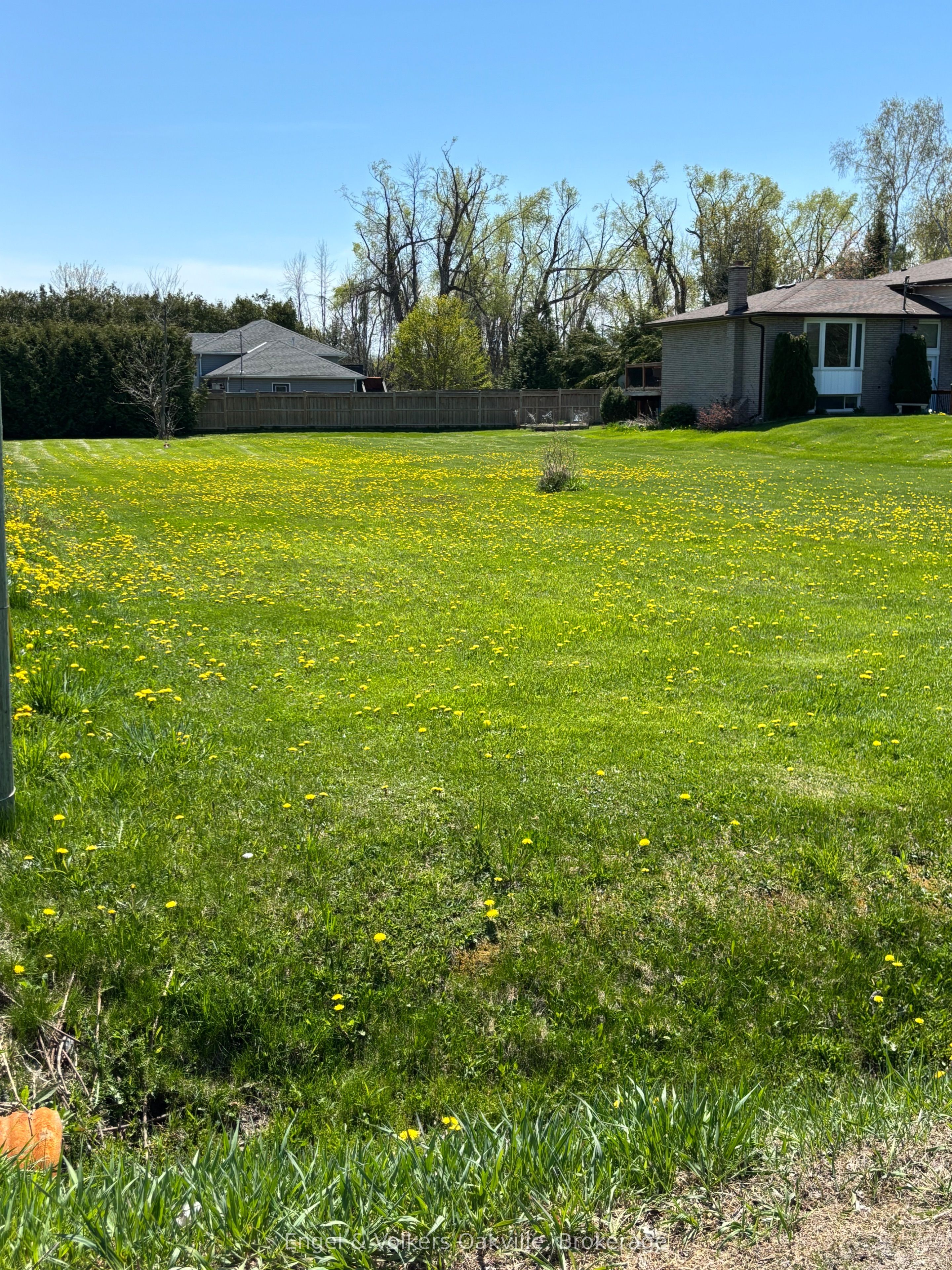 7657 Black River Road Property Photo 5