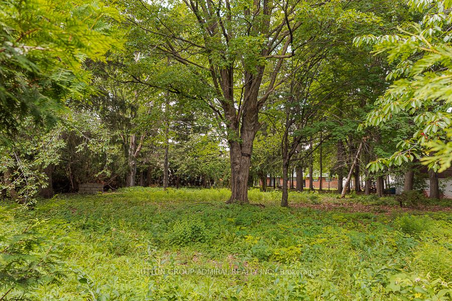 60 Arnold Avenue Property Photo 8