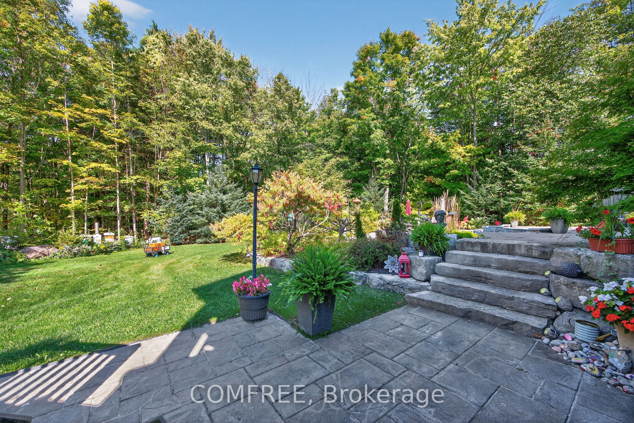 1707 Wilkinson Street Property Photo 39