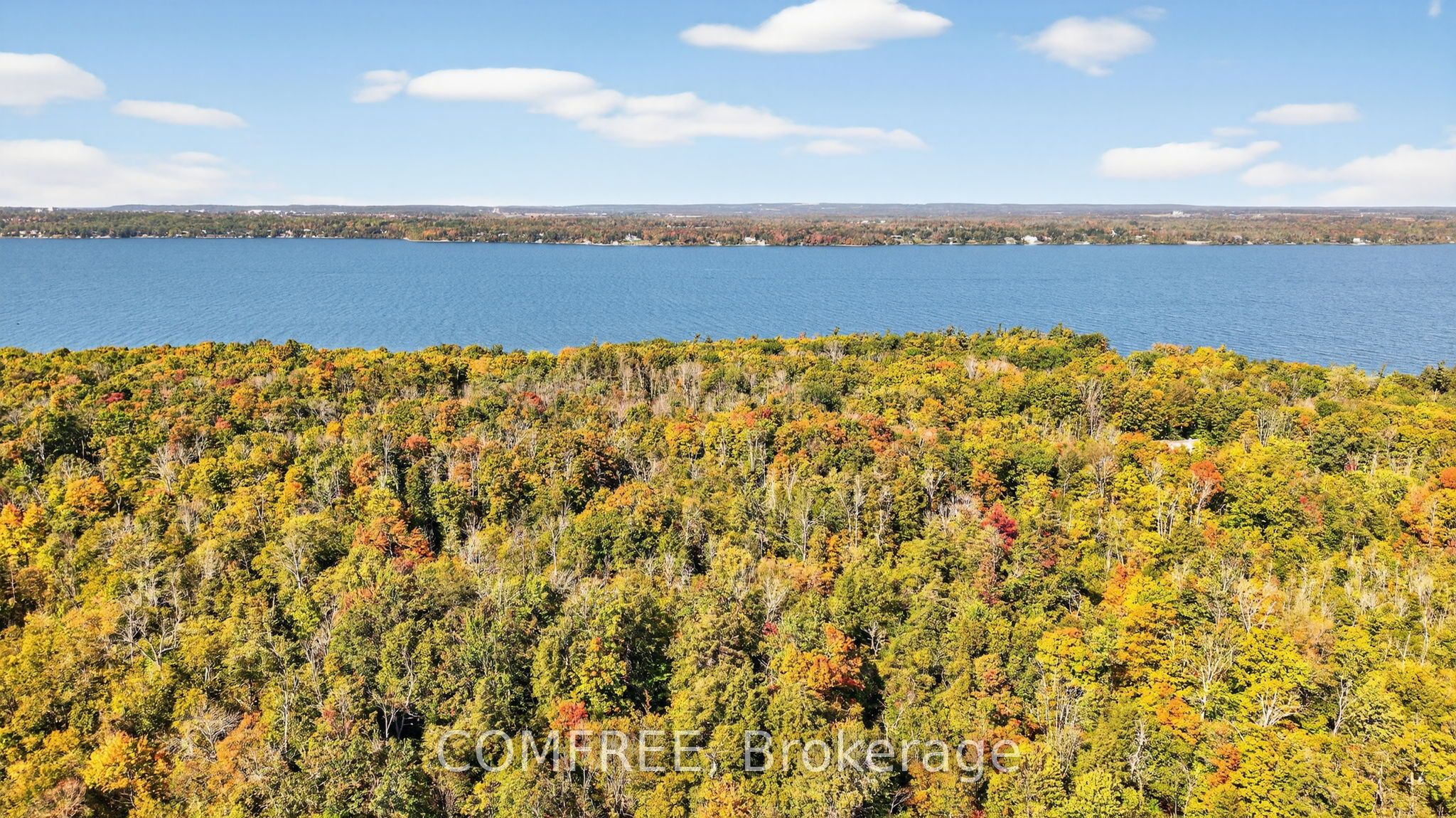 1707 Wilkinson Street Property Photo 47