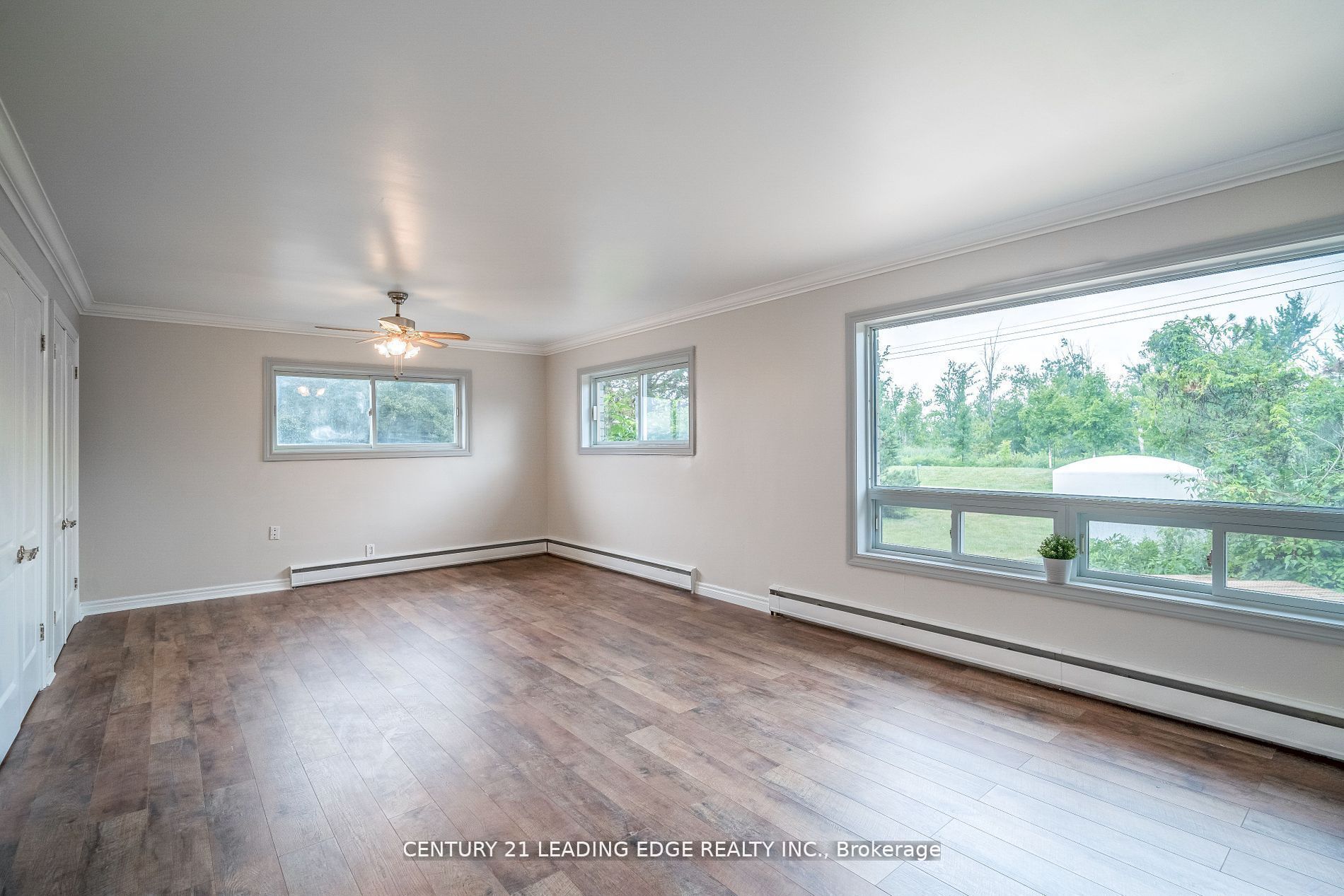 393 Canal Road Property Photo 17