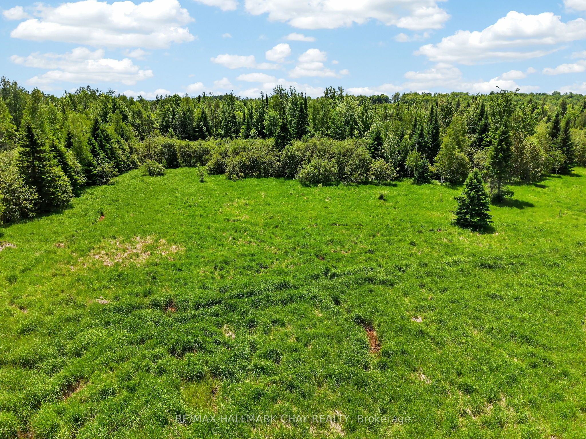 6685 County Rd 21 Property Photo 19