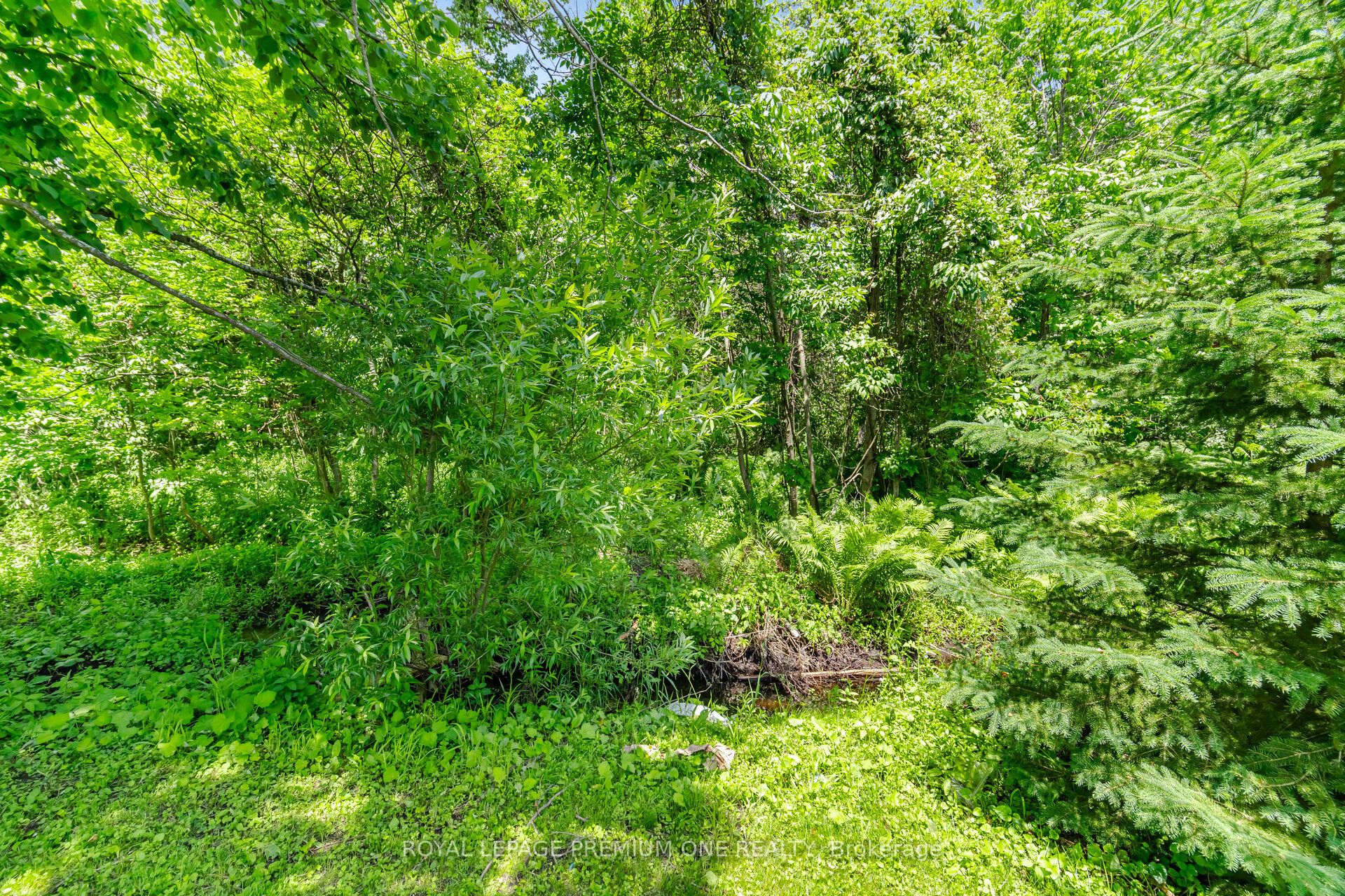 710 Rose Lane Property Photo 43