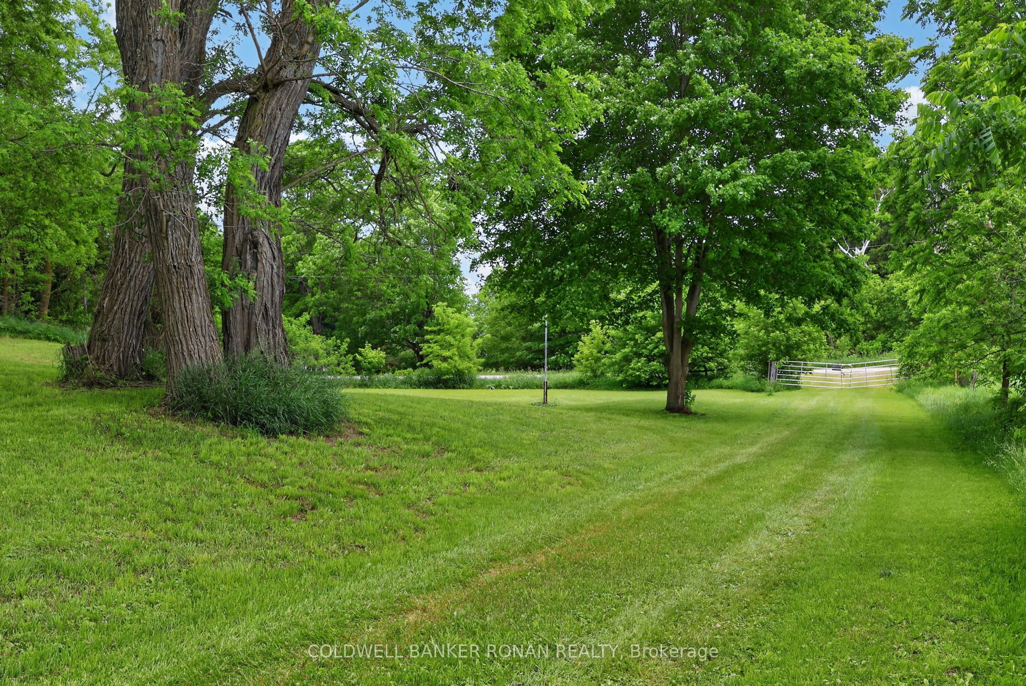 2362 Concession Rd 2 Property Photo 10