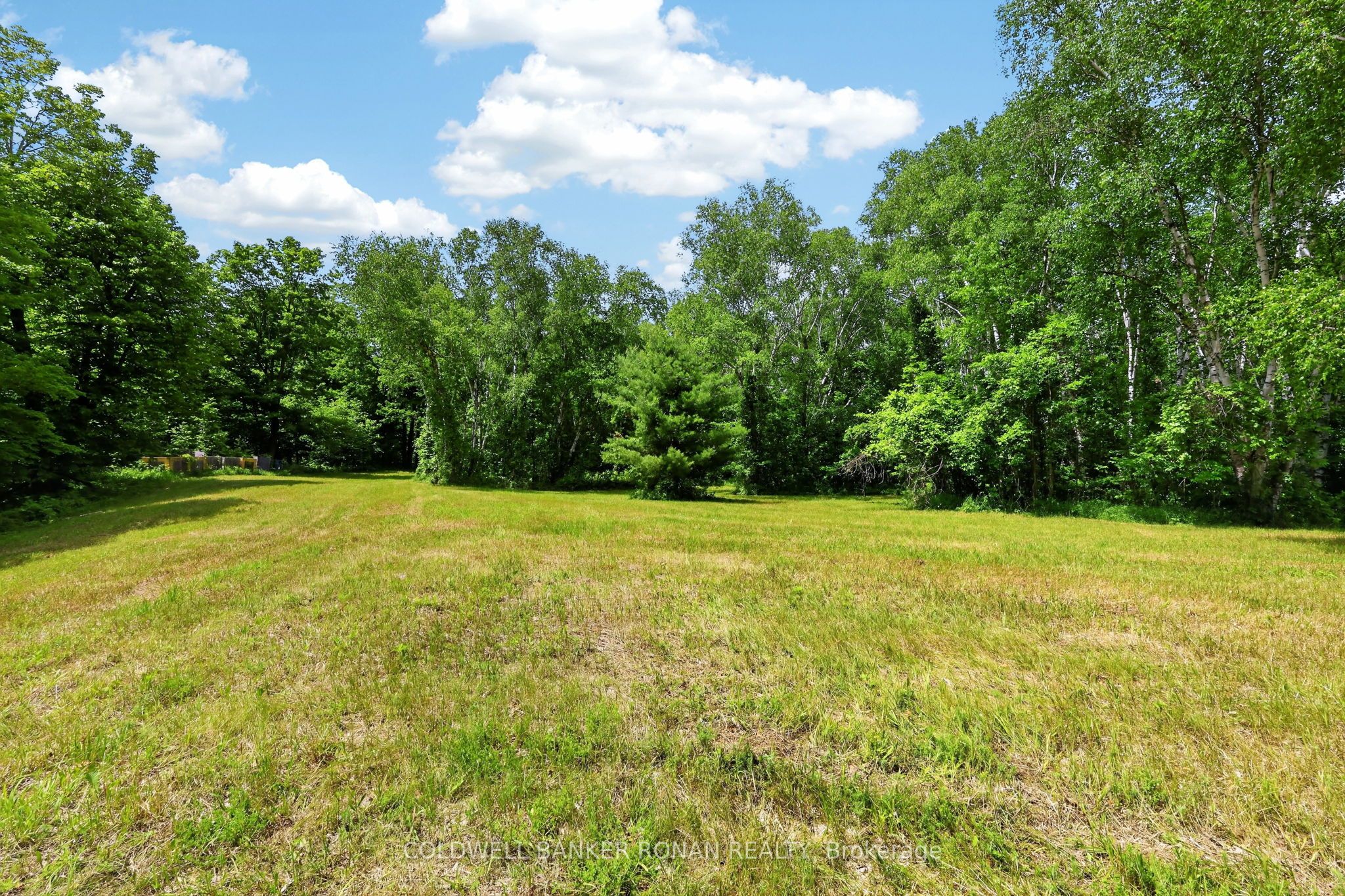 2362 Concession Rd 2 Property Photo 31