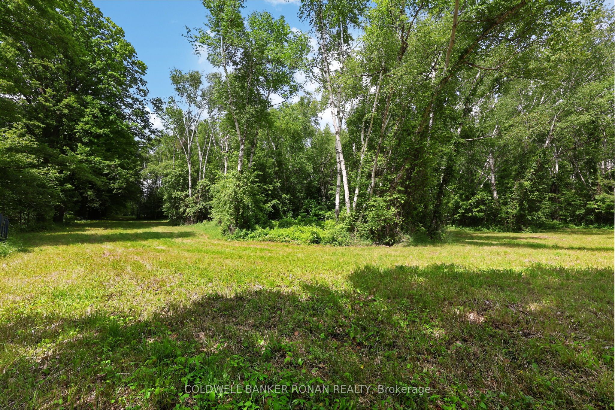 2362 Concession Rd 2 Property Photo 33